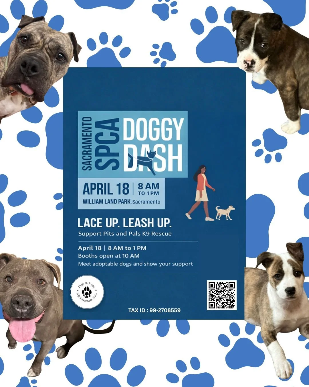 Sacramento SPCA Doggy Dash