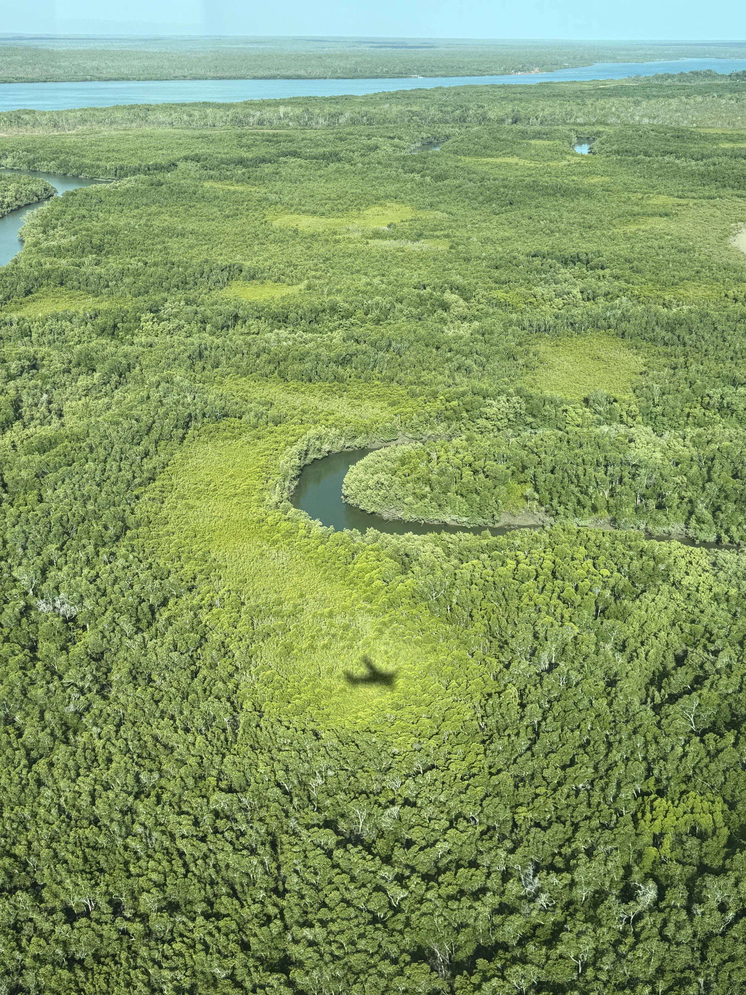 Tiwi islands from small plane.JPG