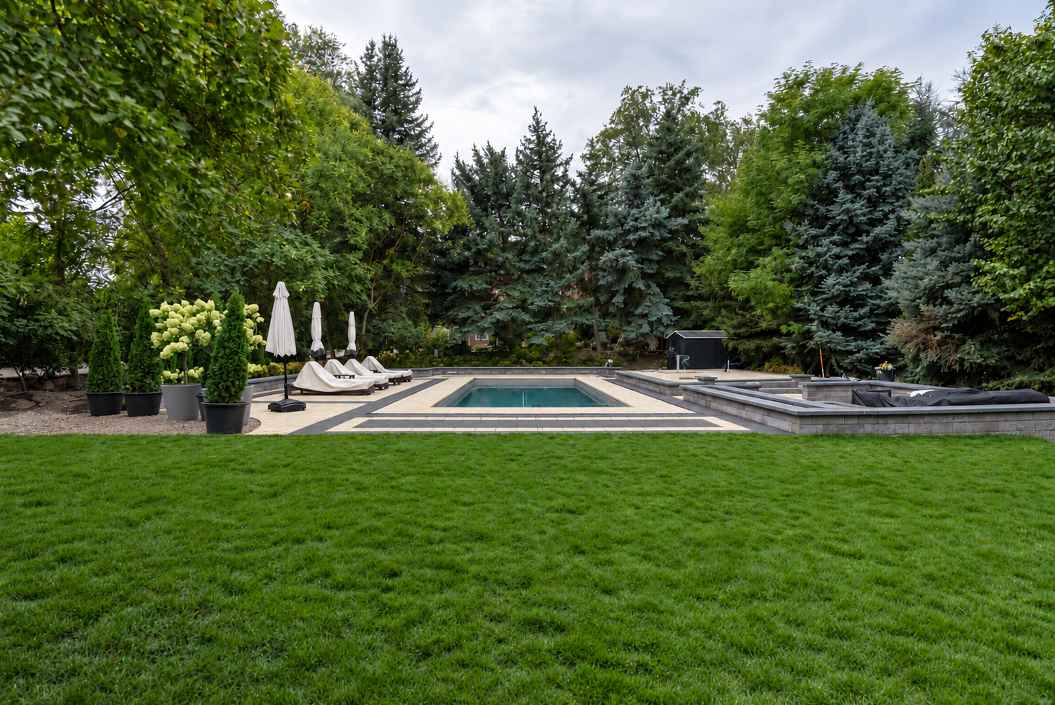 Older-069-Backyard-Overview.png