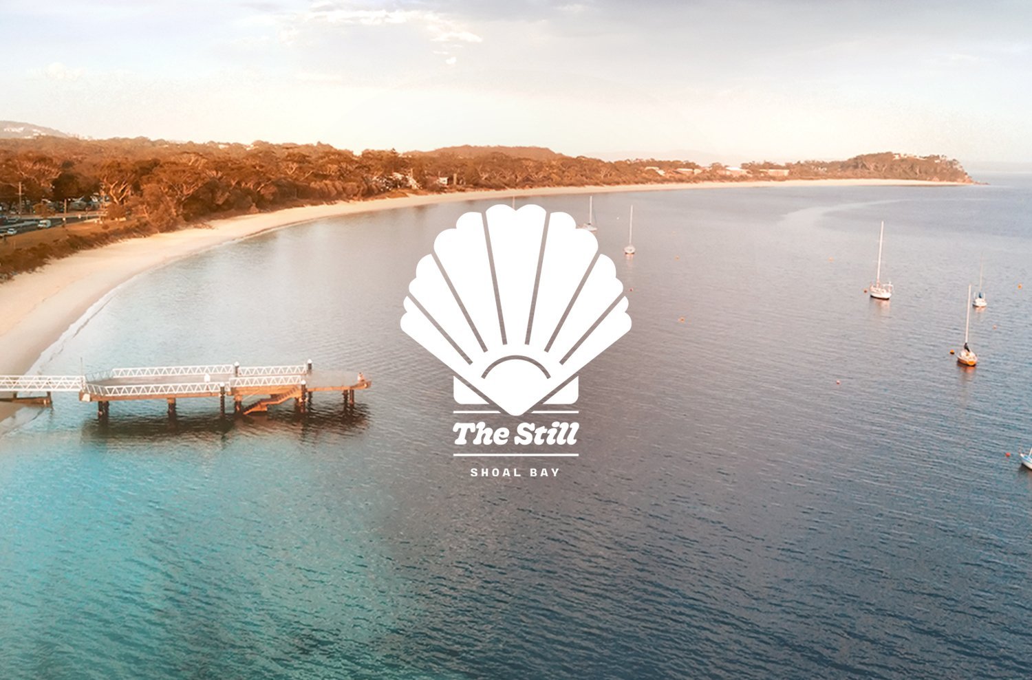 logo-overlay.jpg