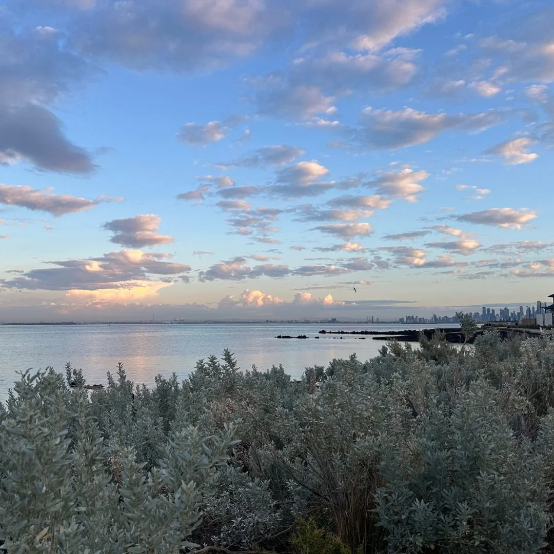 Beautiful morning for a walk down at Brighton Beach. We are spoiled!
