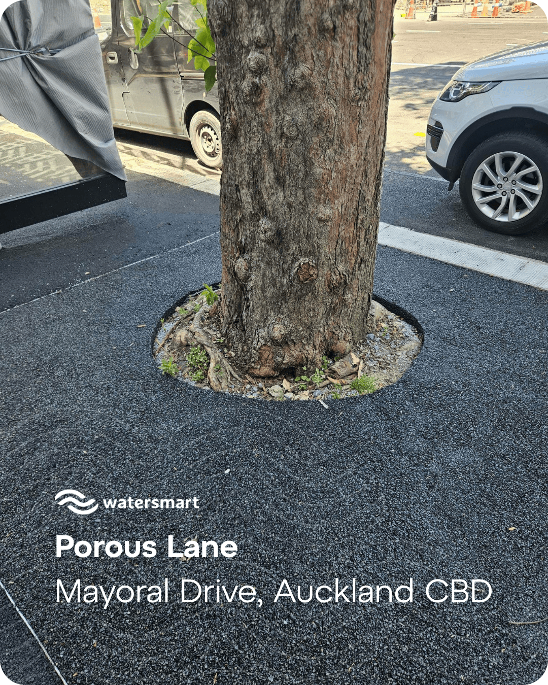 Porous Lane Case Study: Tree Pits - Mayoral Drive, Auckland CBD