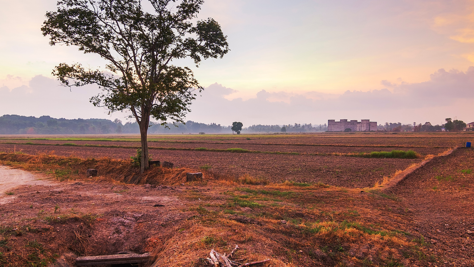 El Niño Is Almost Certain. Is Your Property Ready?