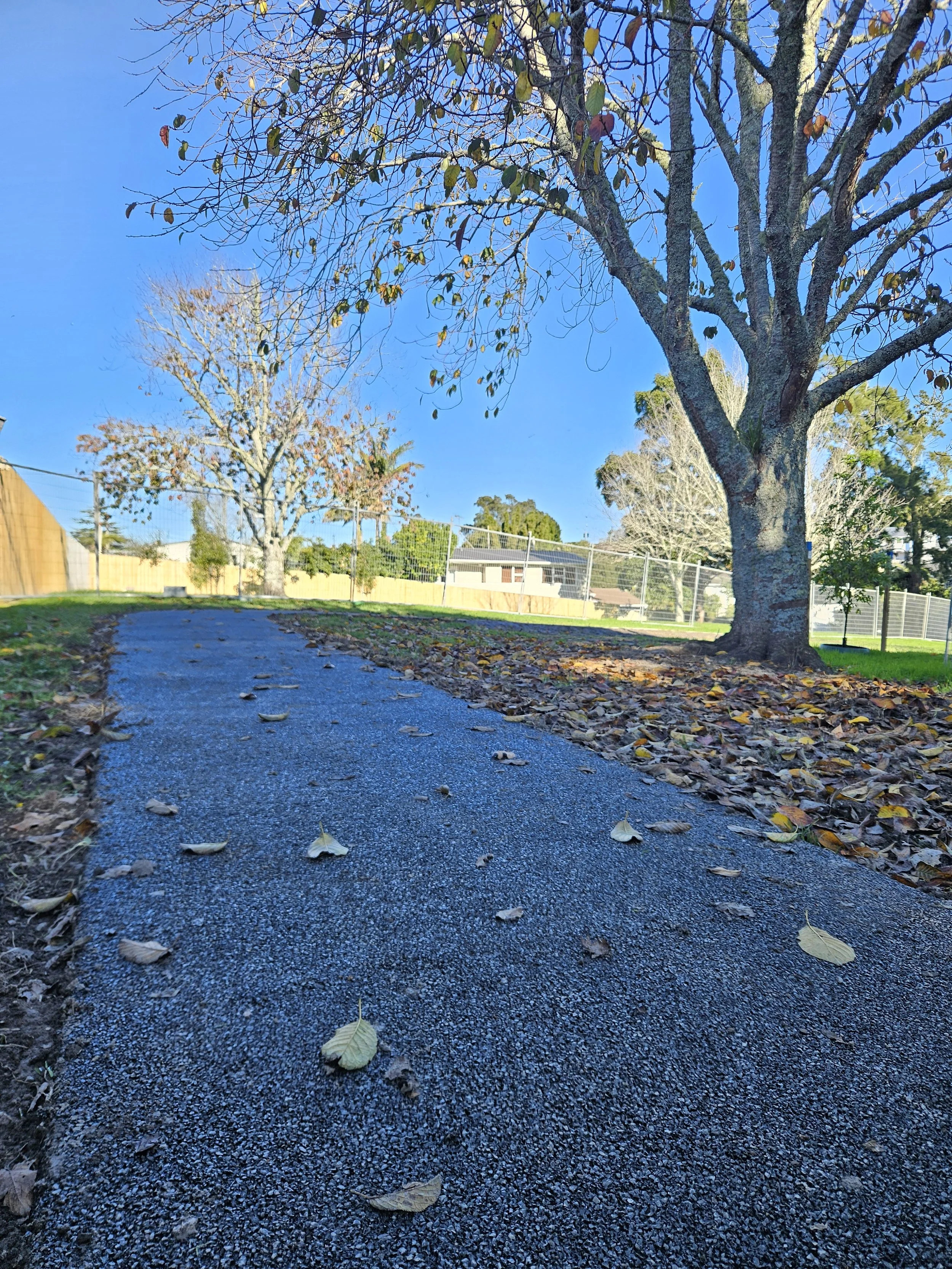 Porous Lane Case Study - Elliott Reserve, Auckland