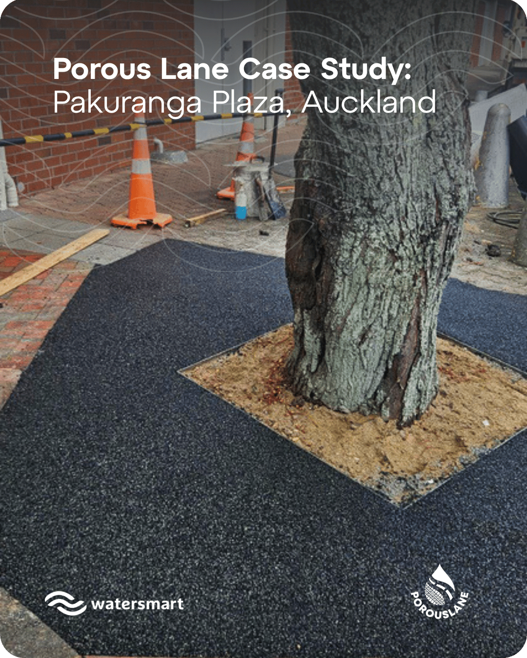 Porous Lane Case Study: Pakuranga Plaza Tree Pit