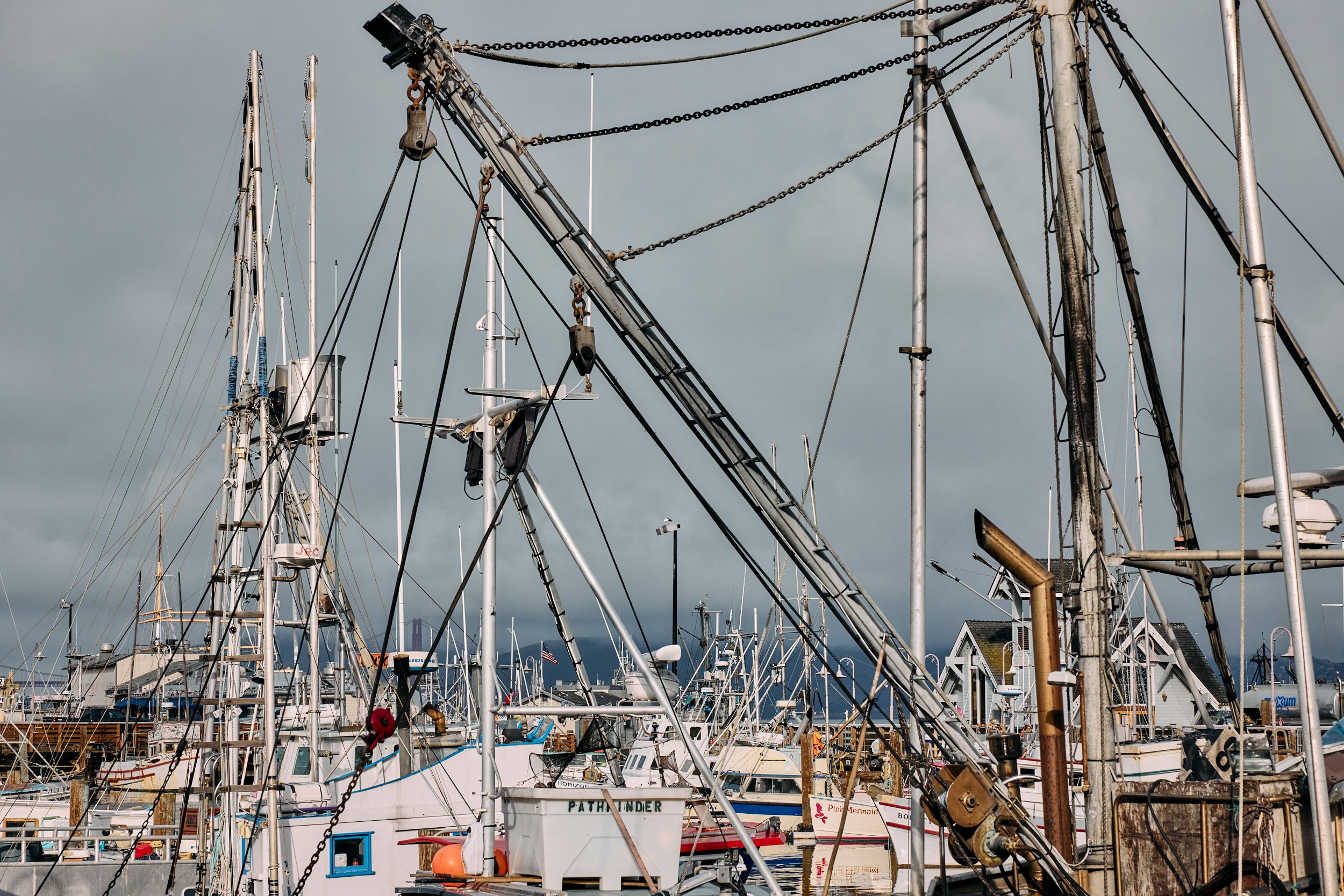 NopaFishGrotto_318.jpg