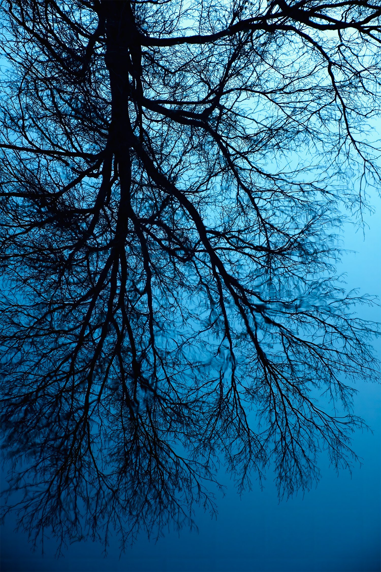 Evening Reflection