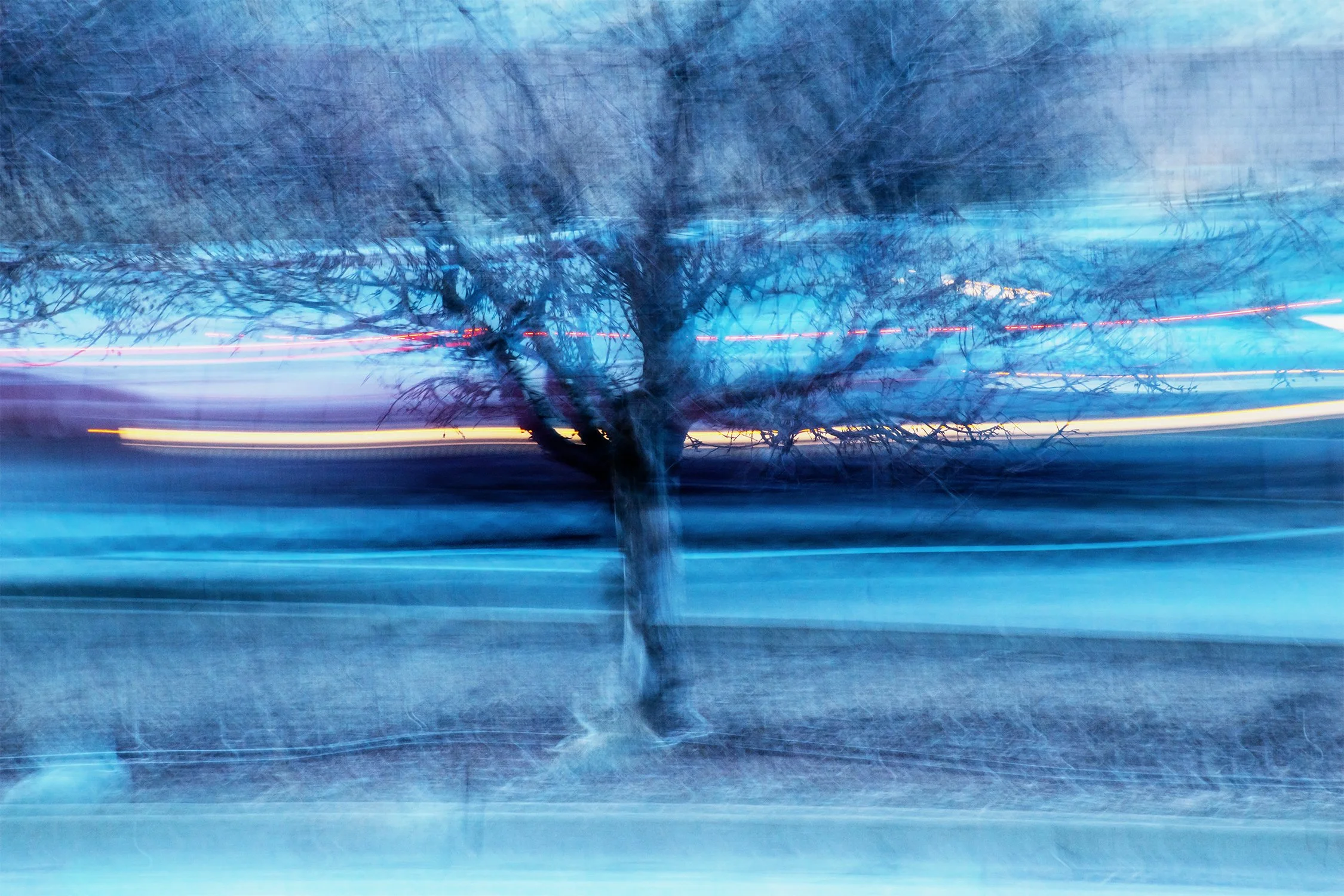 Blue Tree on 28th Street: Boulder, Colorado