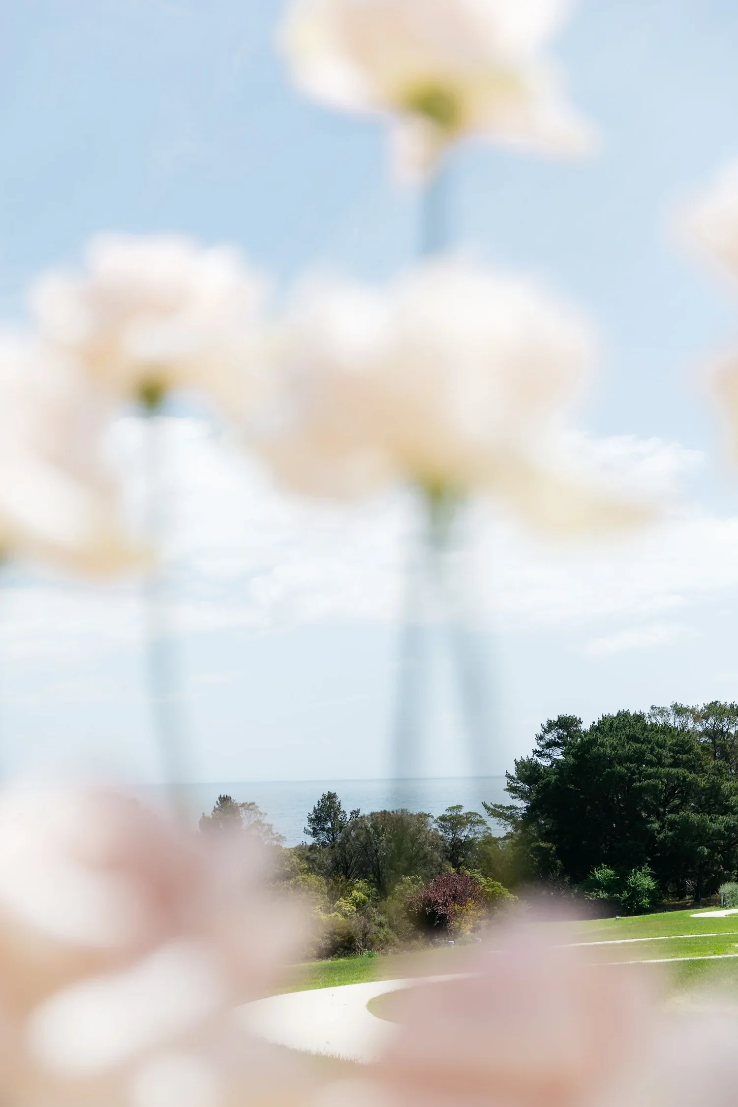 Poppy-Culture-Floral-Styling-Sunnyside-Estate-15.webp