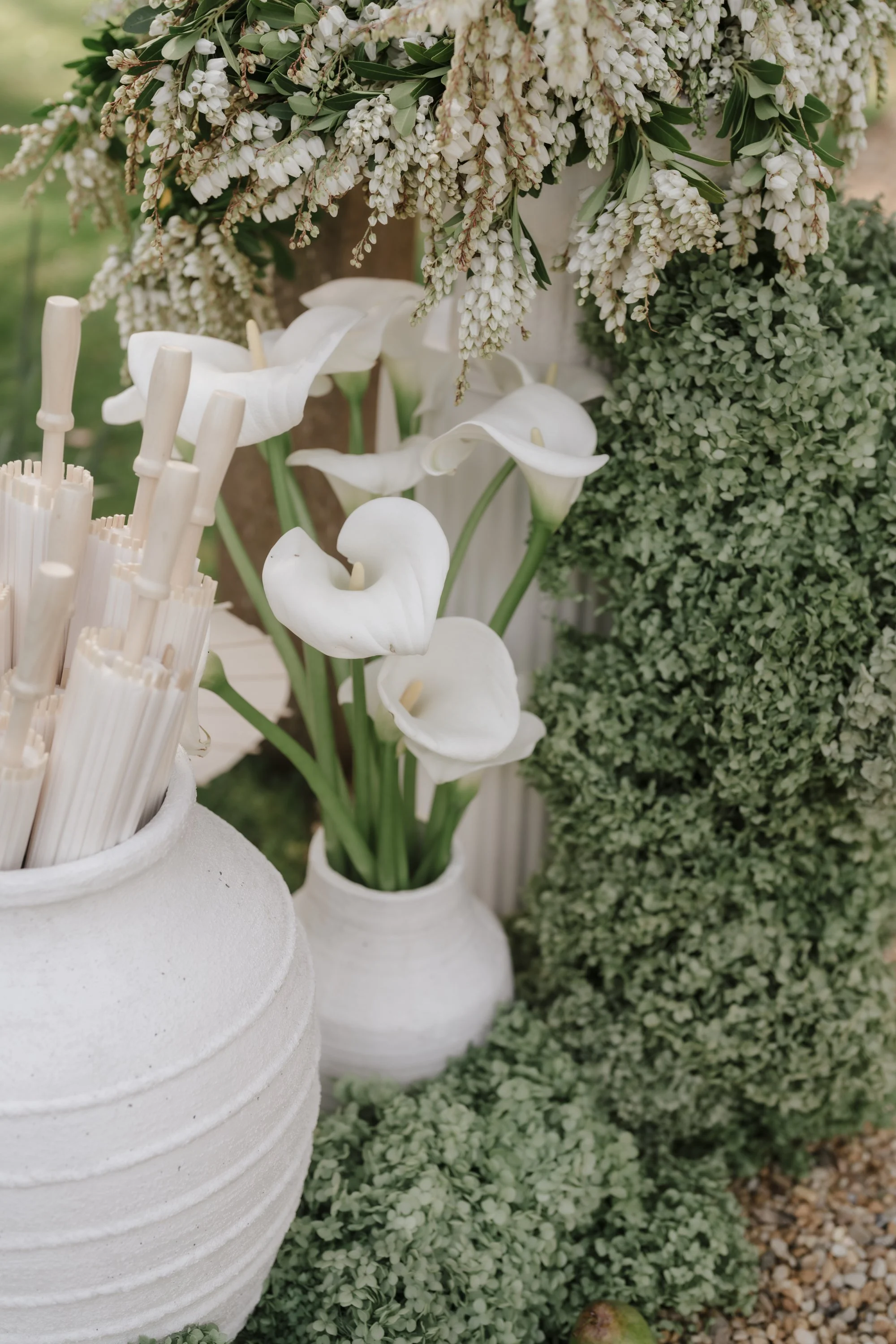 The Cambium - Blossom Daisy Creative-208.jpg