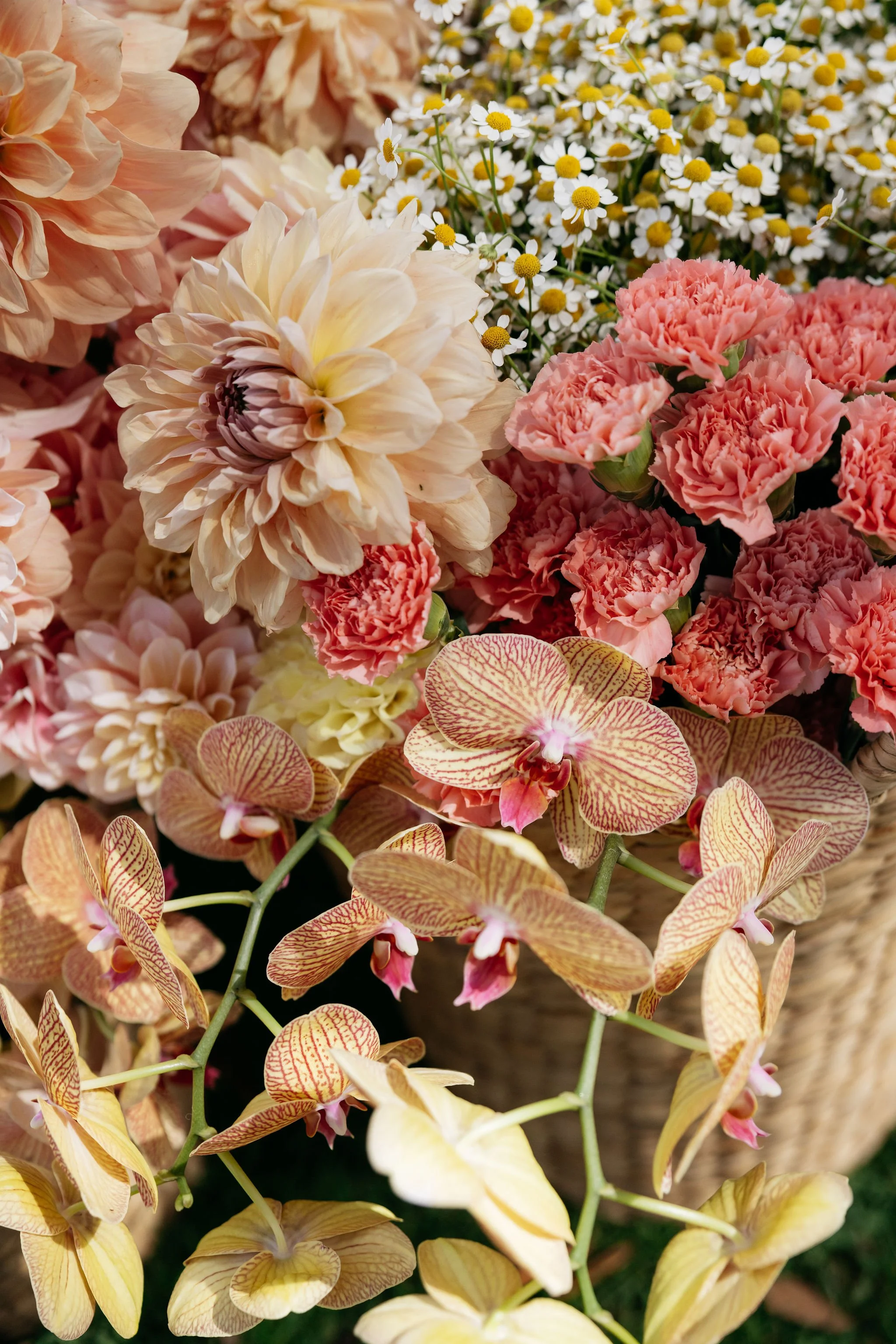 Warm‑toned floral detail at Polperro featuring cream dahlias, daisies, coral carnations and yellow orchids styled by Poppy Culture, captured by Ali Bailey.