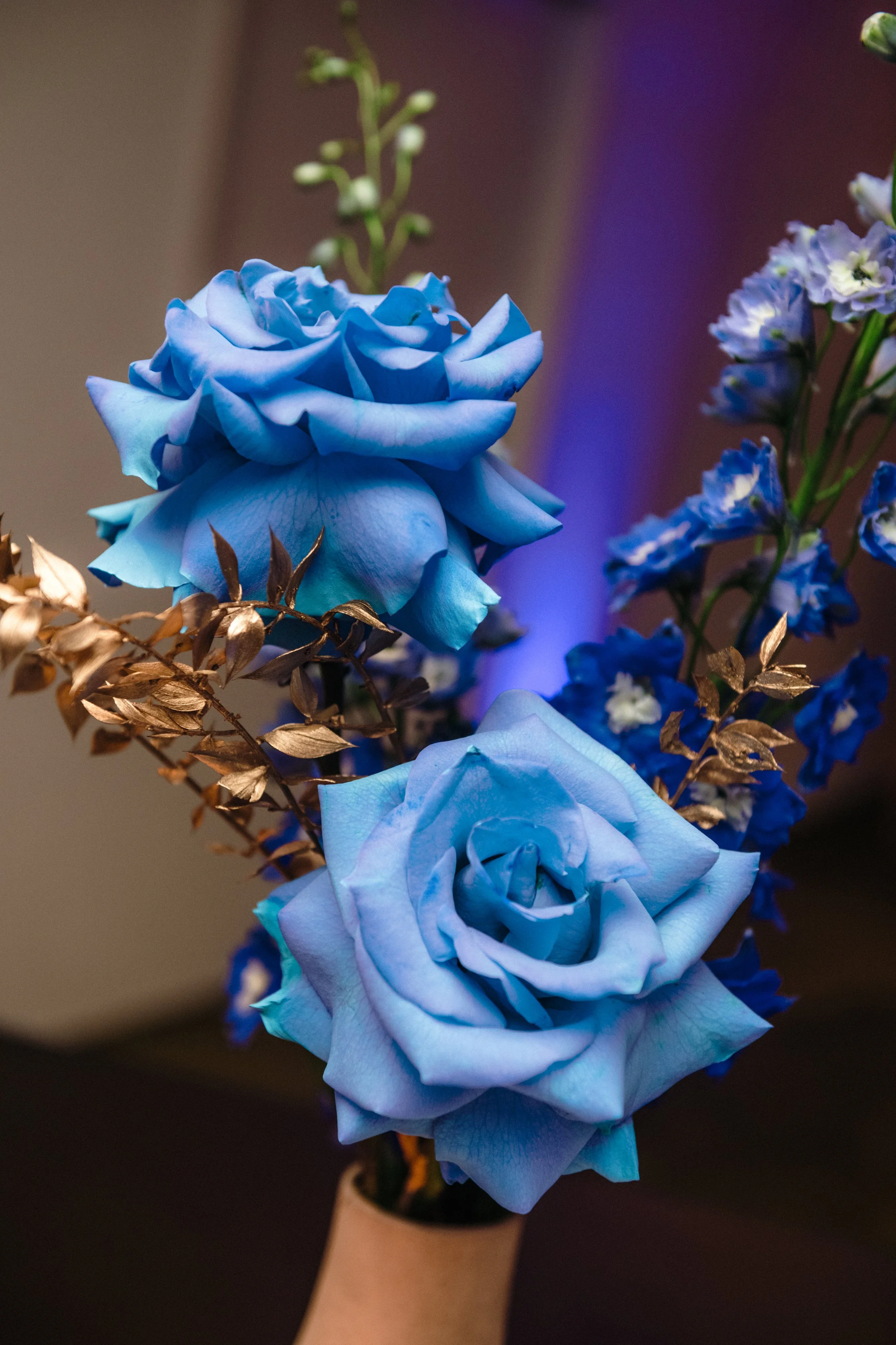 Modern‑lux corporate event styling by Poppy Culture at RACV Cape Schanck Resort, featuring a close‑up of two vivid blue roses surrounded by smaller blue blooms and metallic gold foliage. The soft, blurred background highlights the rich colour contras