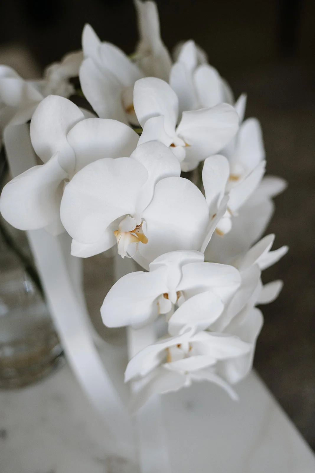 White Phalaenopsis orchids in a modern, sculptural arrangement styled by Poppy Culture for a Port Phillip Estate wedding.