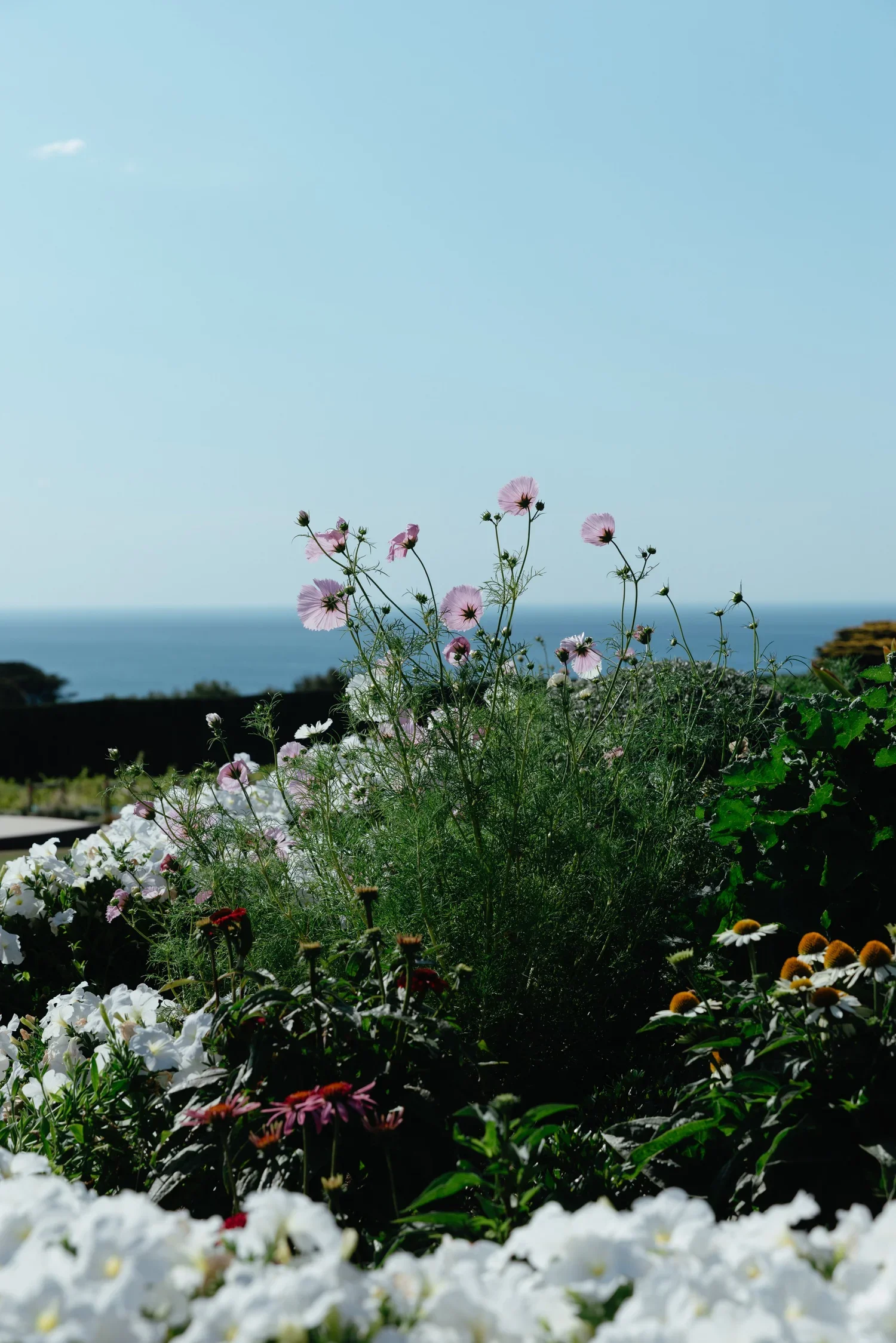 Poppy-Culture-Floral-Styling-Sunnyside-Estate-4.webp