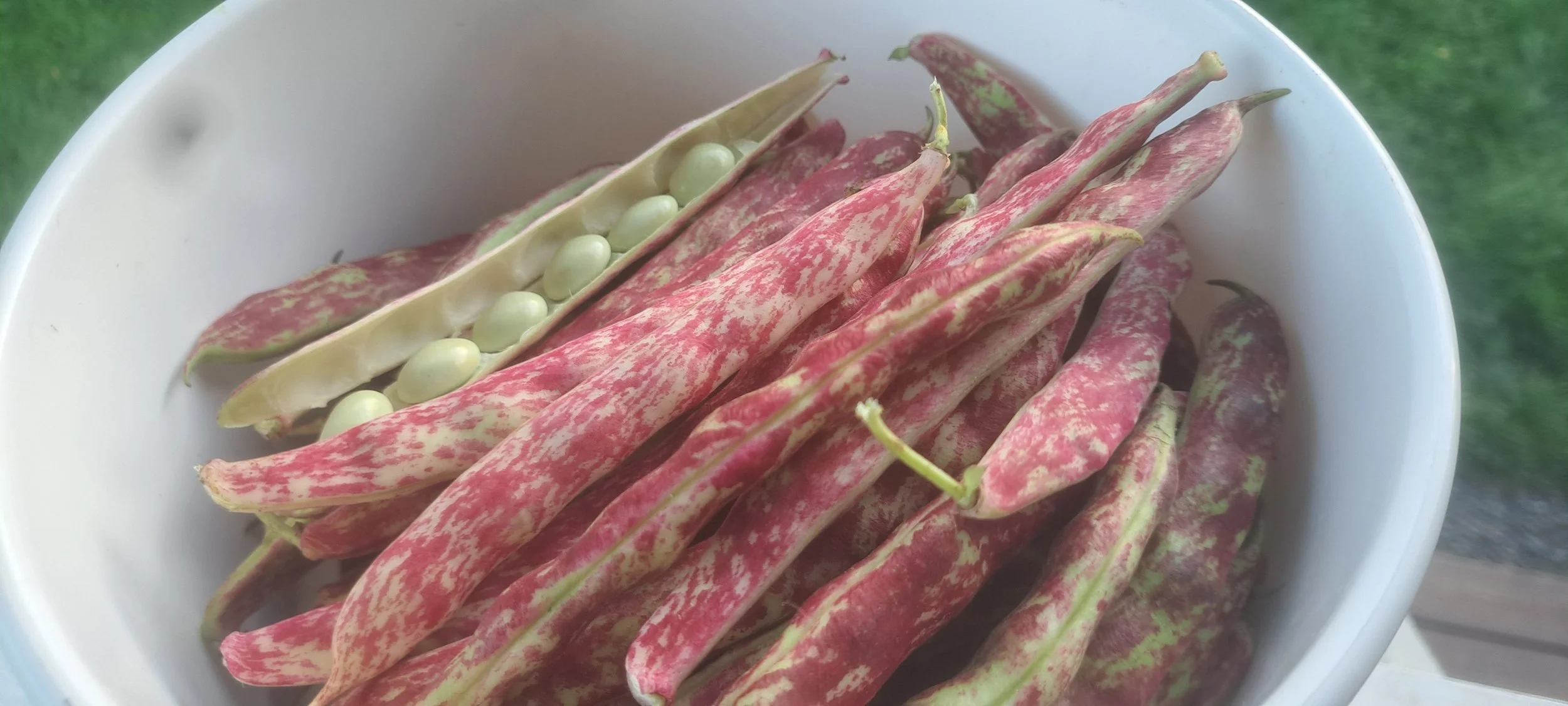 Bean there 2 2024.jpg