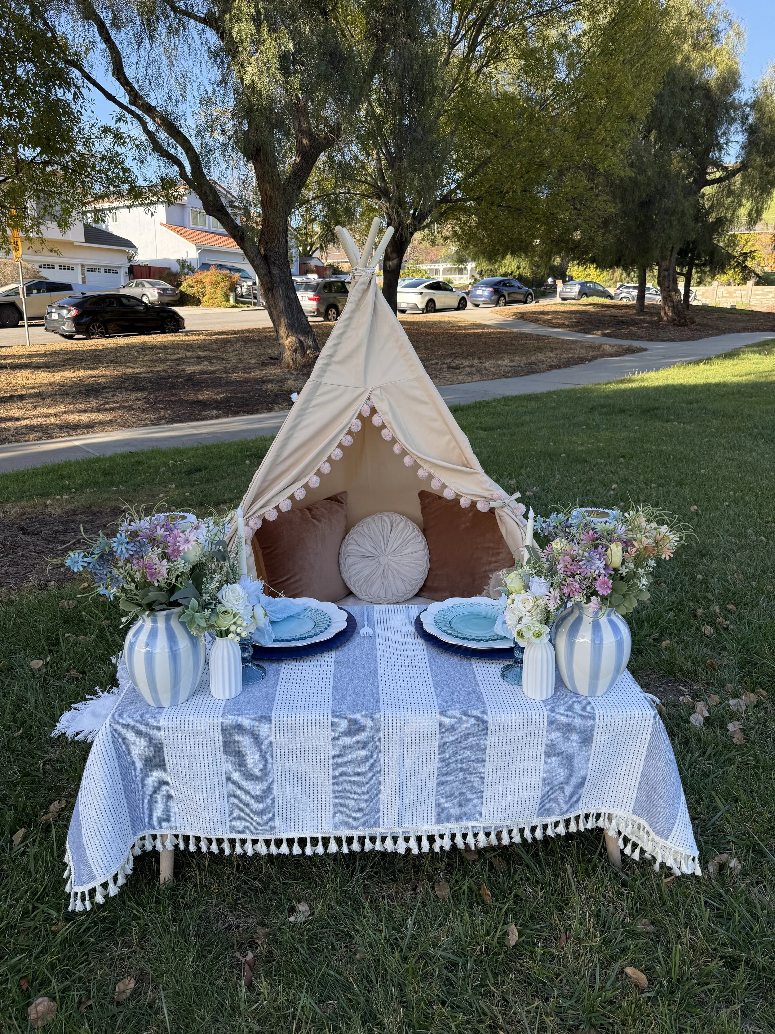 Something Blue Anniversary Picnic