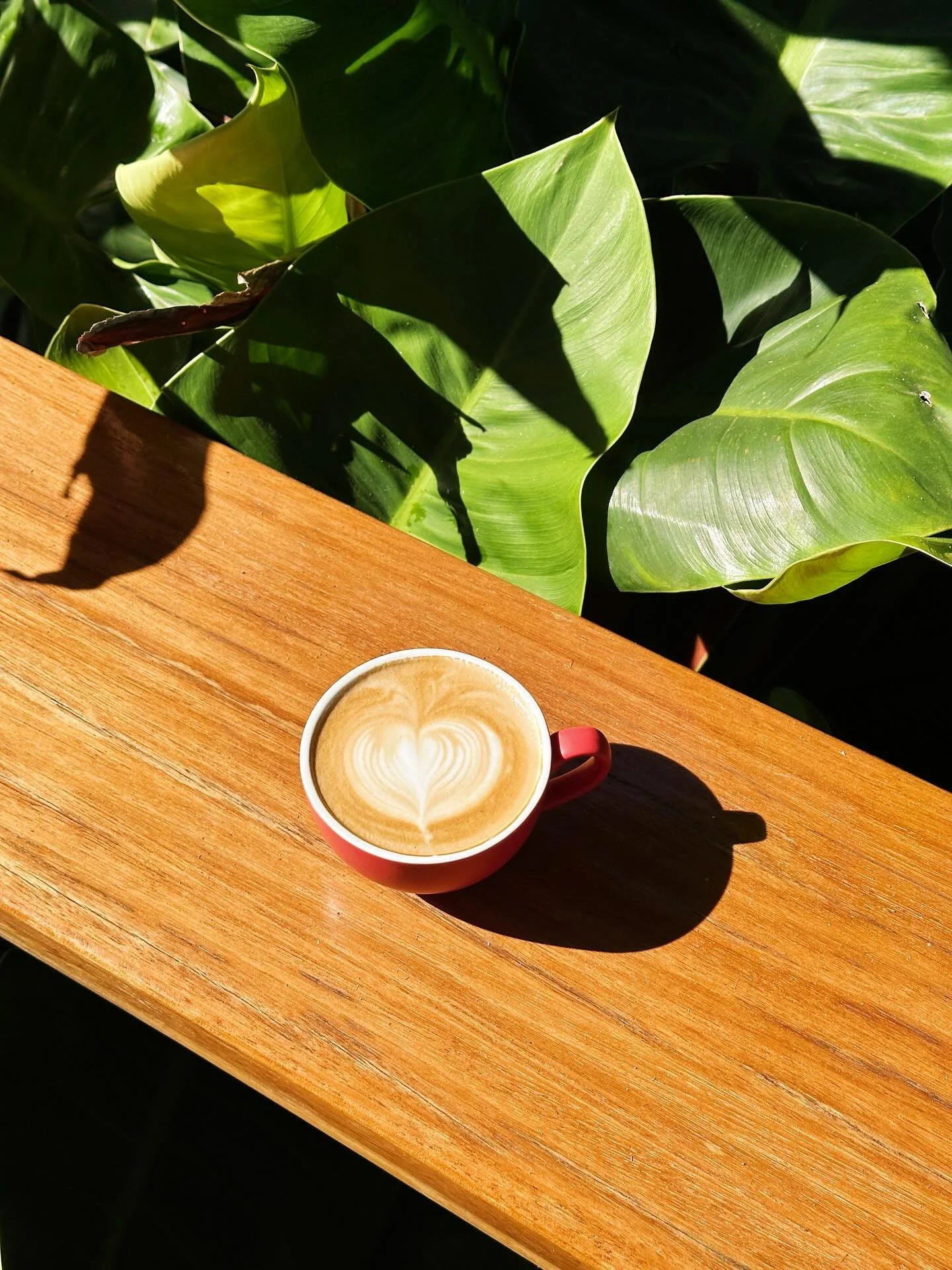 Pouring up delicious coffee all day every day. 
From 8:30AM - late 
We&rsquo;re here for your afternoon caffeine fix ☕️