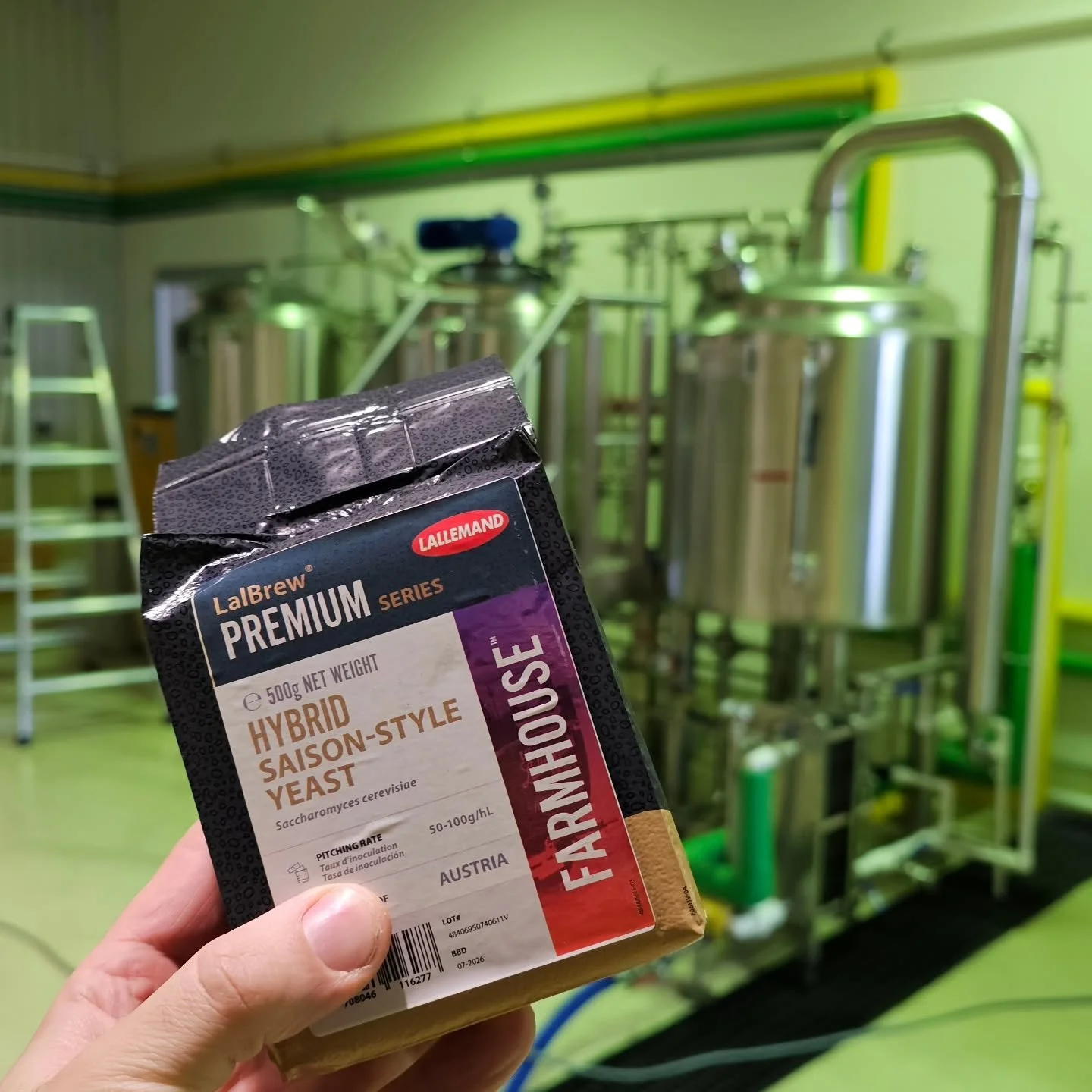 One of my favorite styles: hoppy farmhouse ale