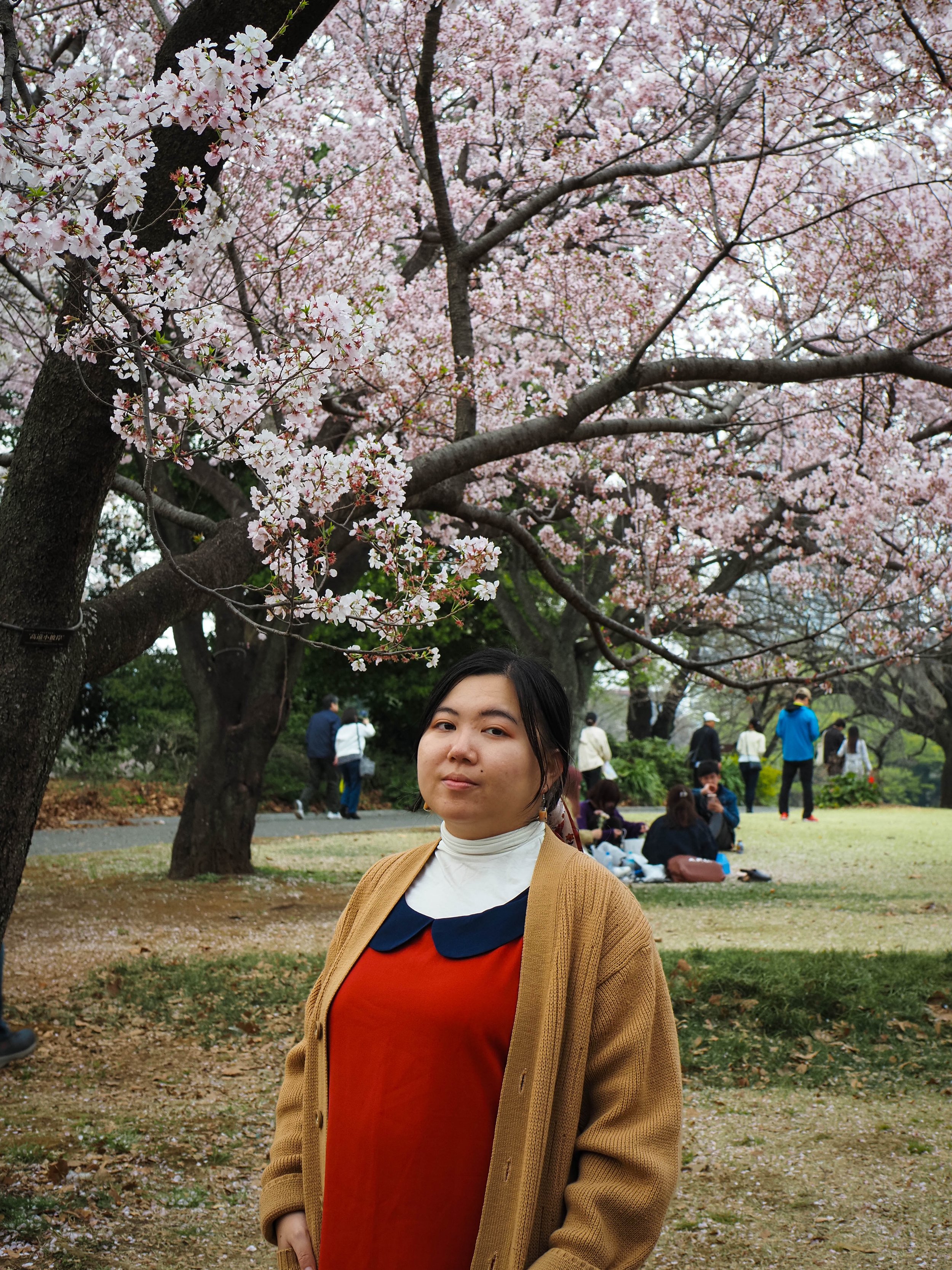 Japan 2025