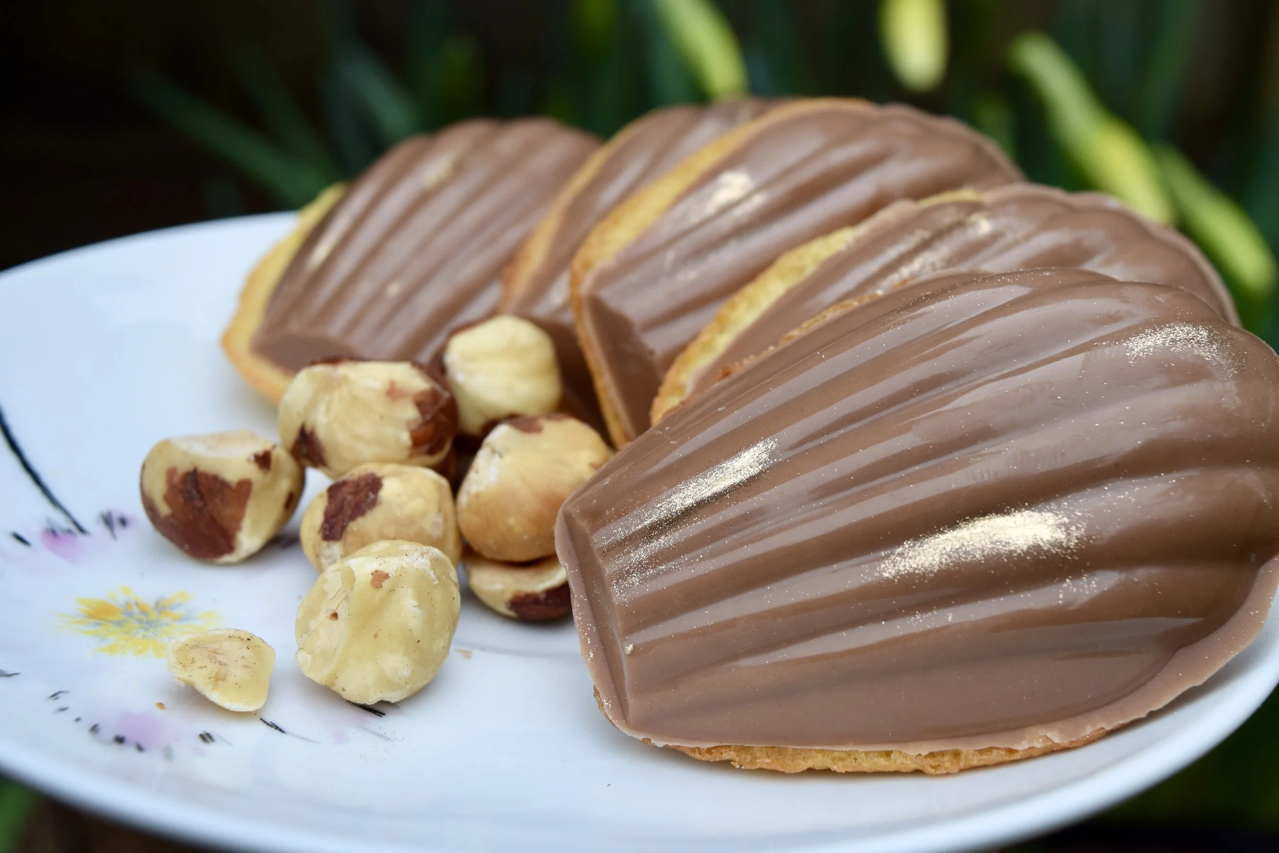 Chocolate Hazelnut madeleines