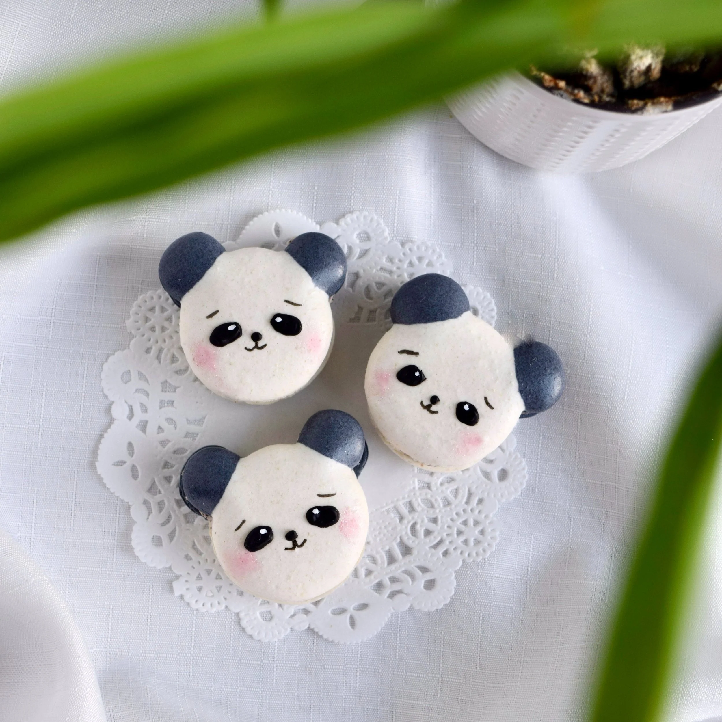 cute baby panda macarons