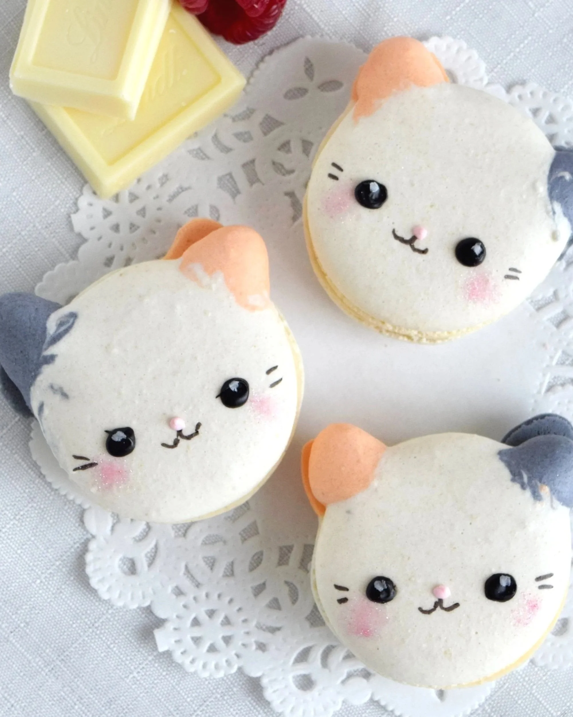 cute-white-cats-macarons.jpg