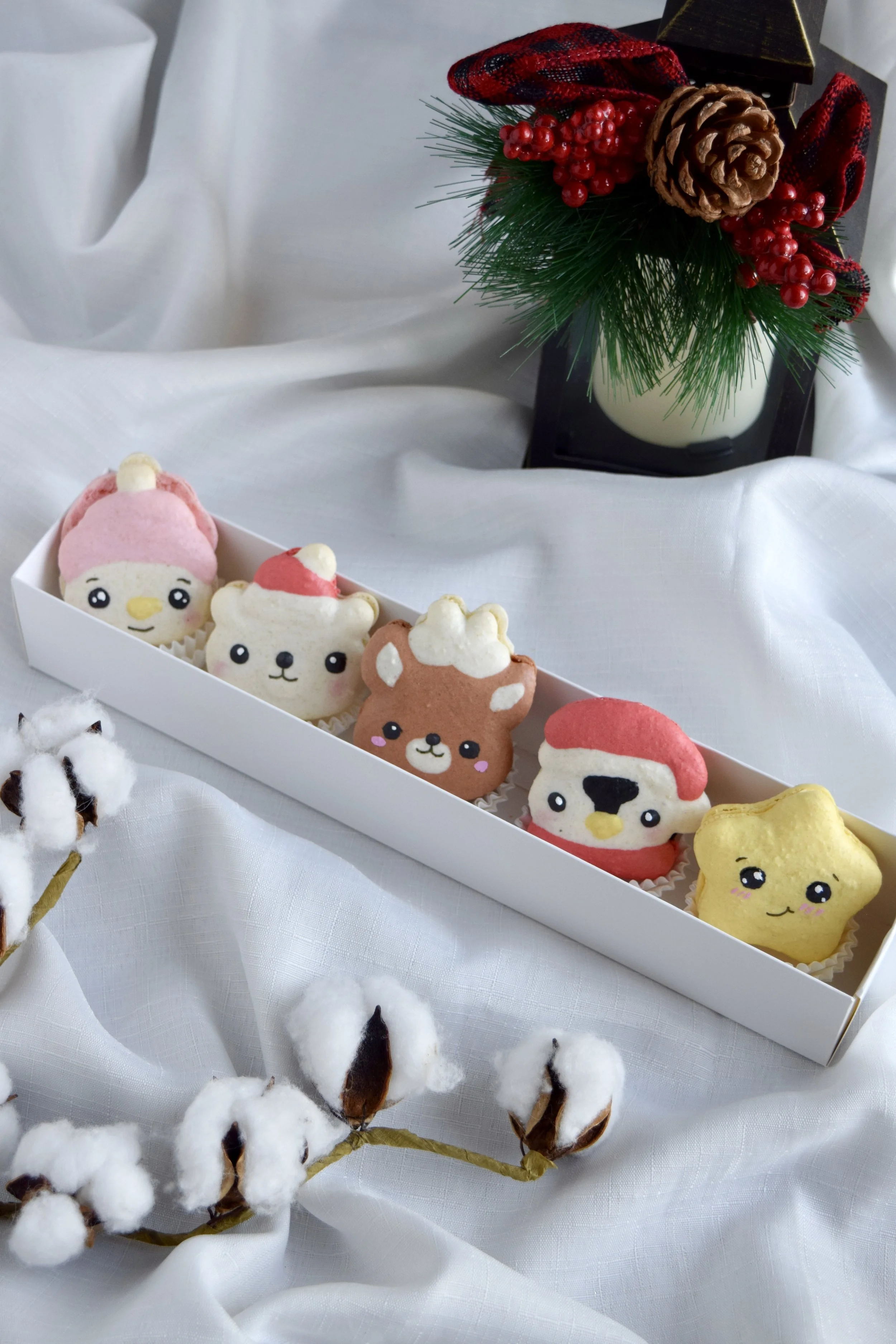 polar-friends-macarons-box.jpg