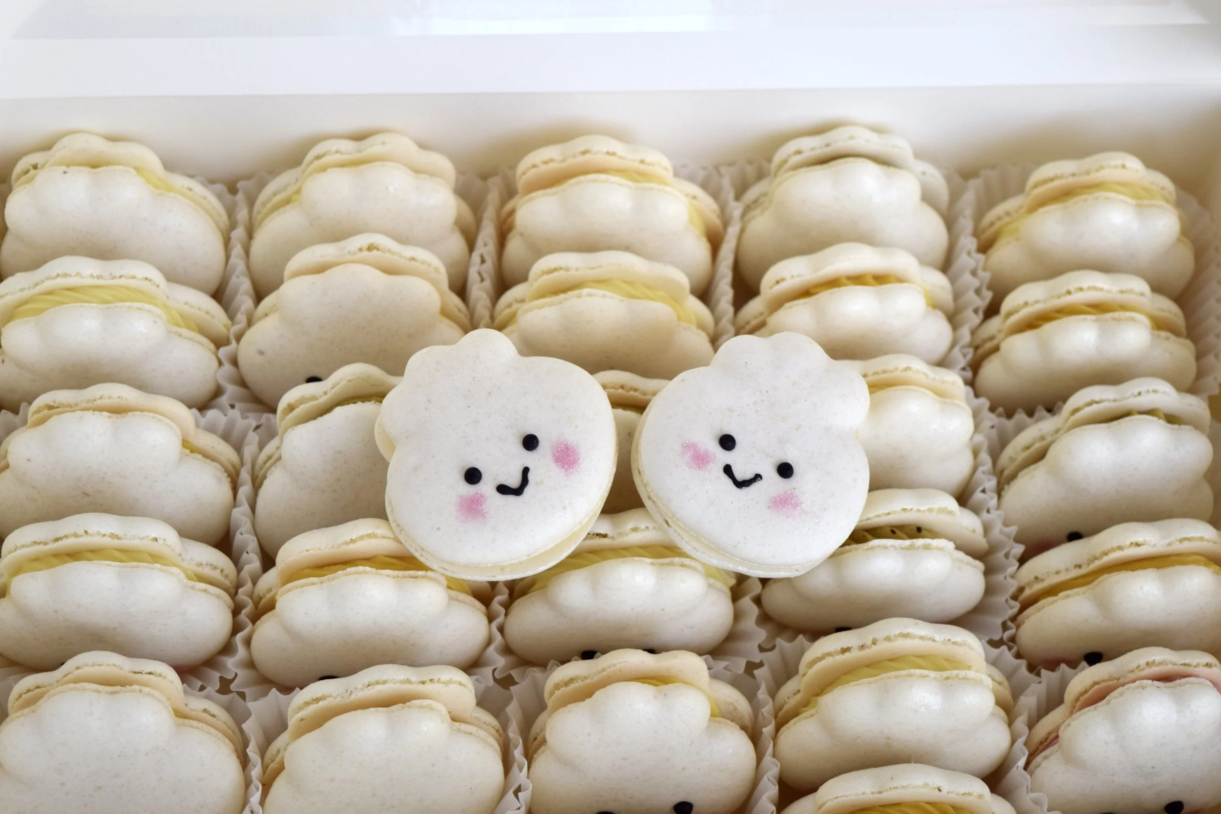 DSC_0609.jpg