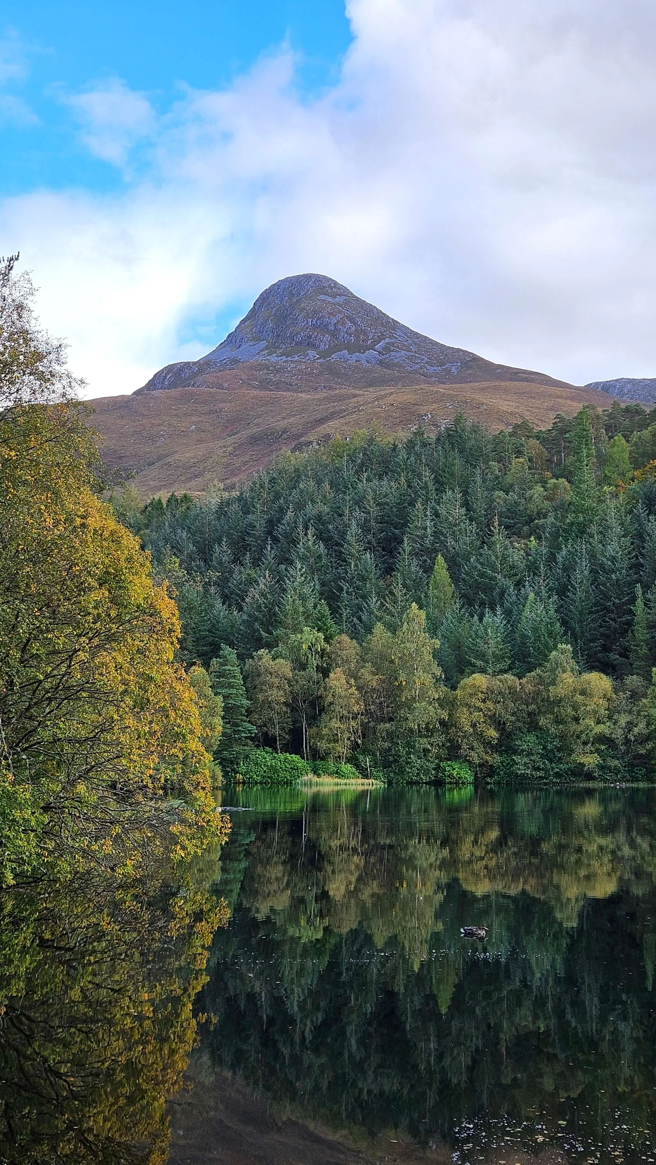 Guided walk Pap of Glencoe