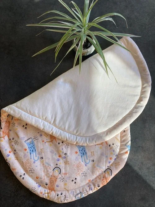 chats sauteurs 2.JPG