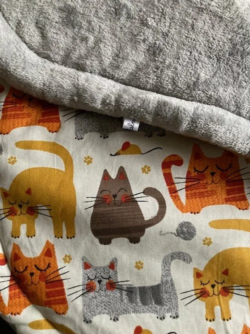 Chats marrants tissus.JPG