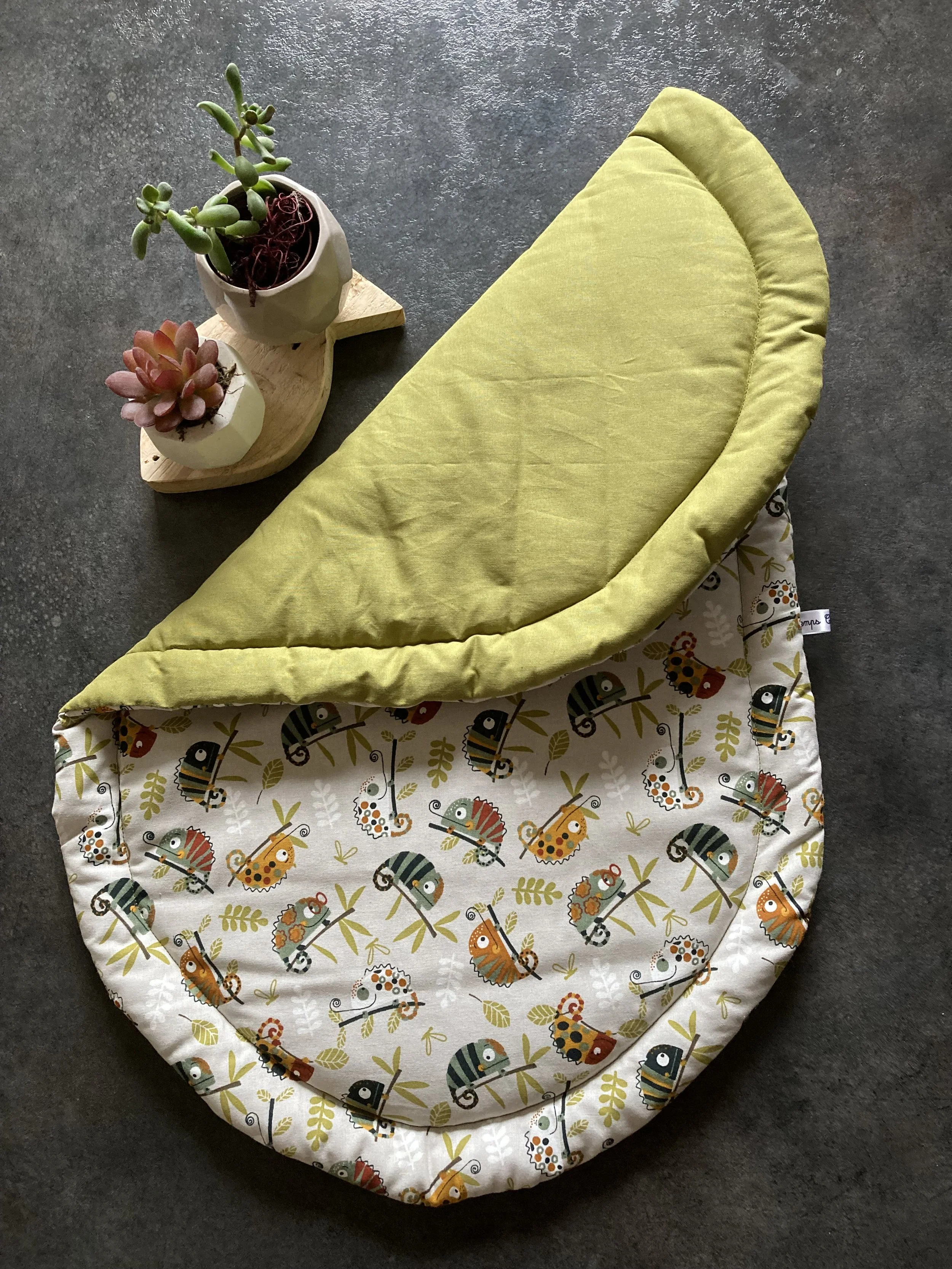 Léon le caméléon 1.JPG