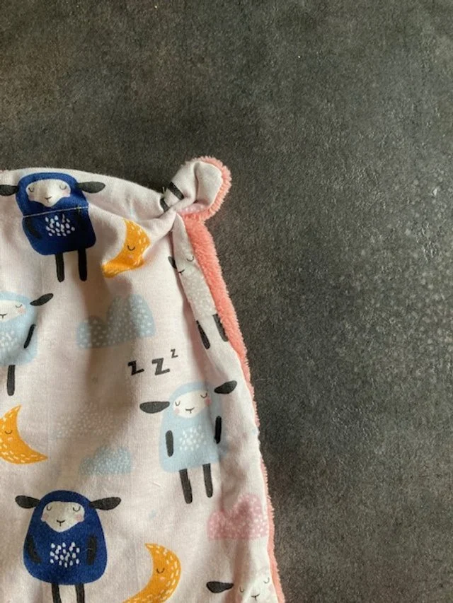 ptit pladou mouton 2.JPG