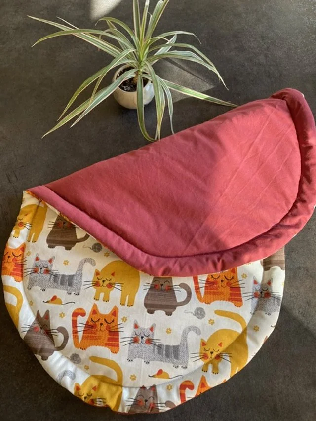 chats marrants verso.JPG