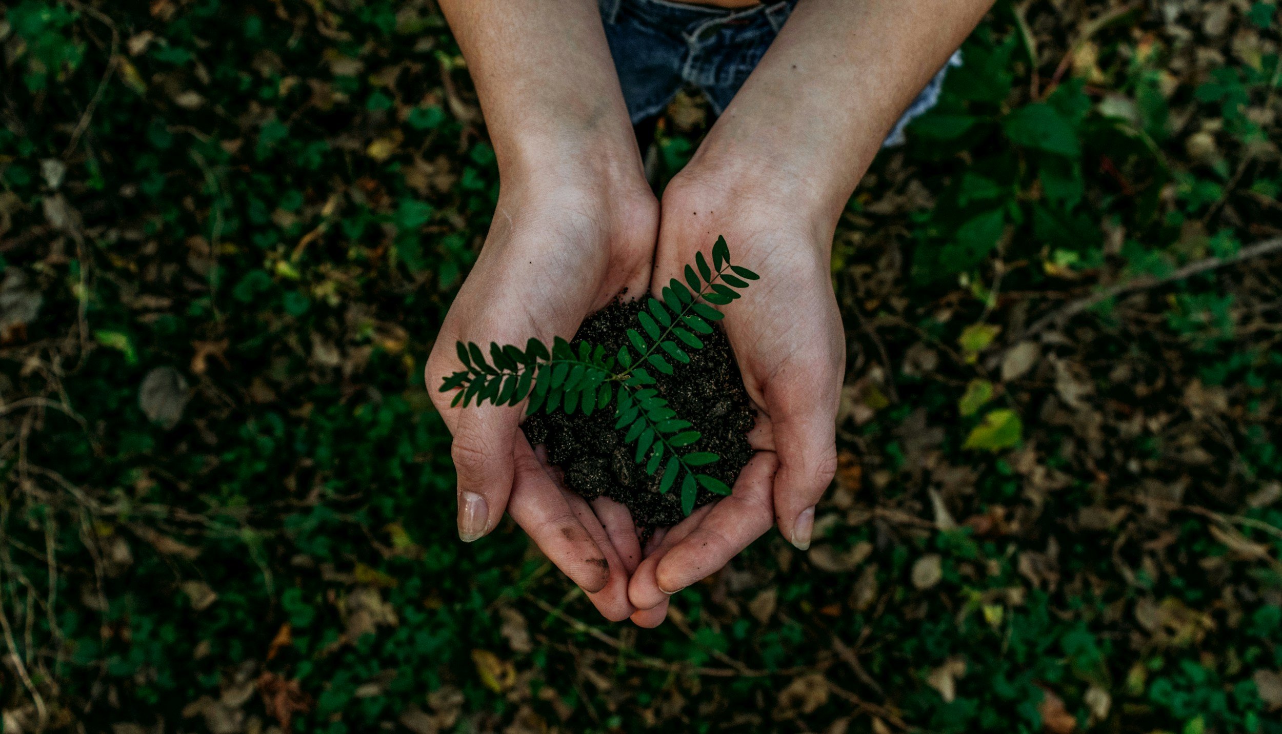Corporate Sustainability Reporting Directive (CSRD): What’s it all about?