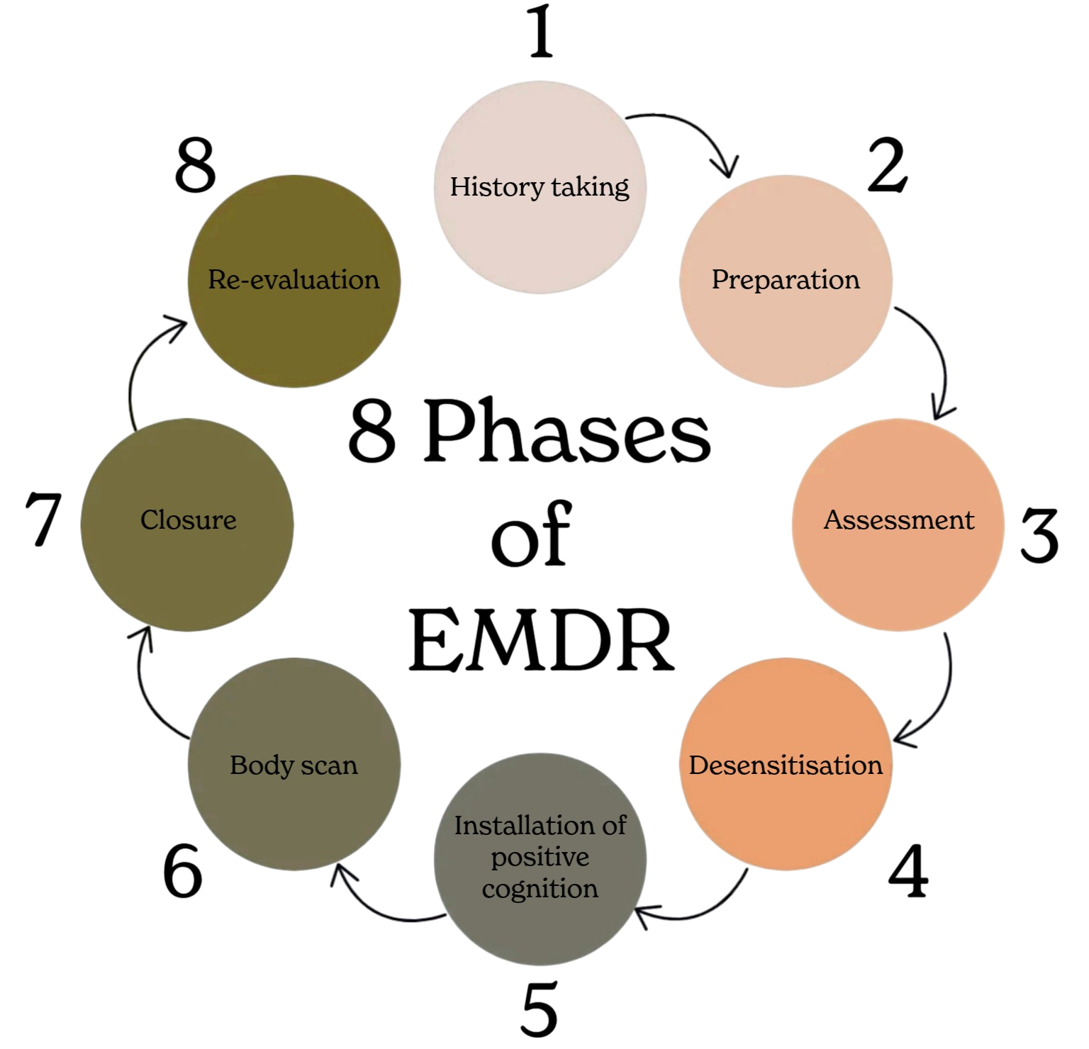 Diagram showing the 8 phases of EMDR treatment arranged in a circle. Phases include History Taking & Treatment Planning, Preparation & Stabilization, Target Assessment, Desensitization, Installation, Body Scan, Closure, and Reevaluation.