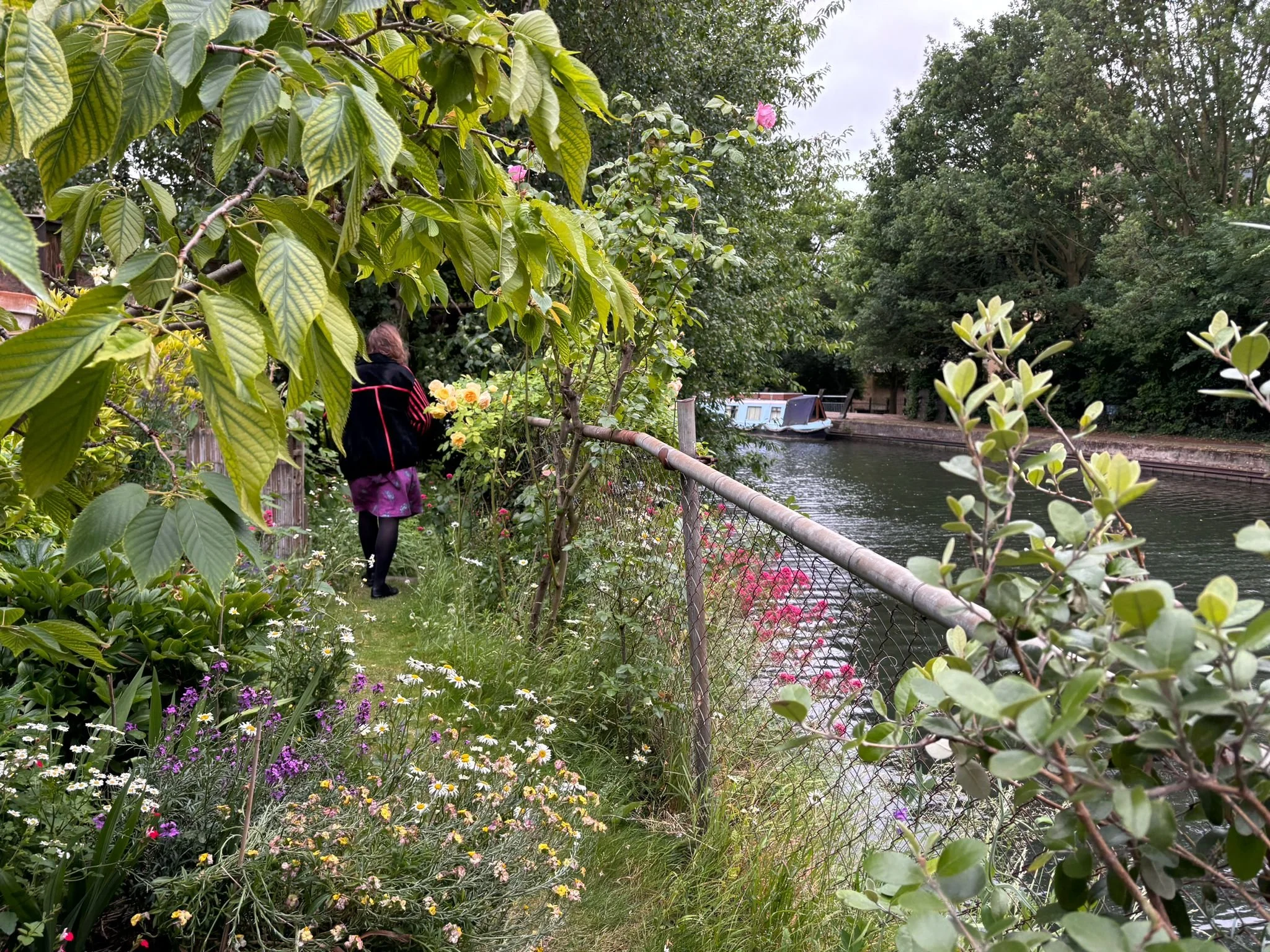 79012ca4-7f9c-4929-be57-a29b1b5bde8e.jfif