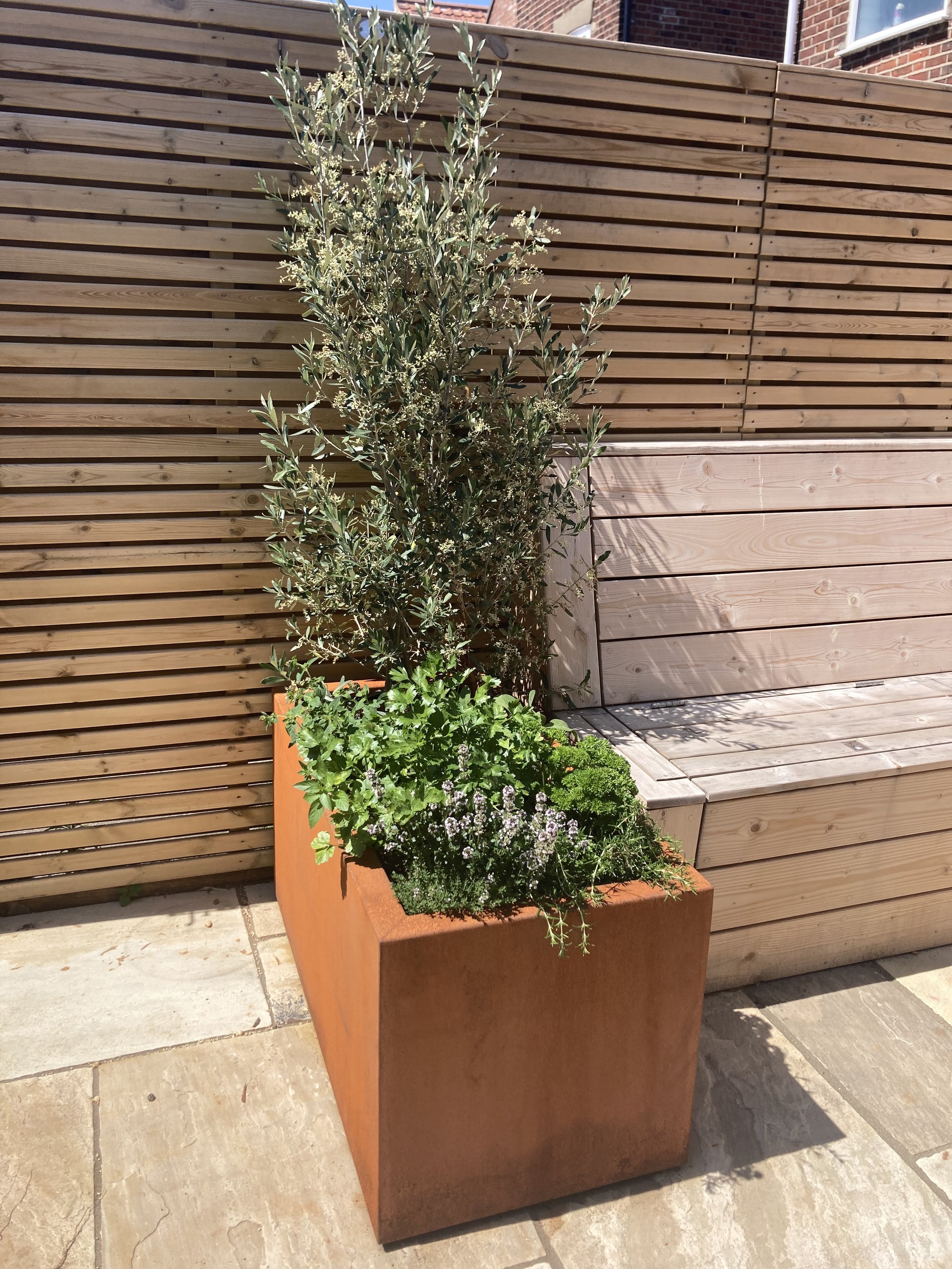 Steel Planter with Year Round Culinary Herb Planting