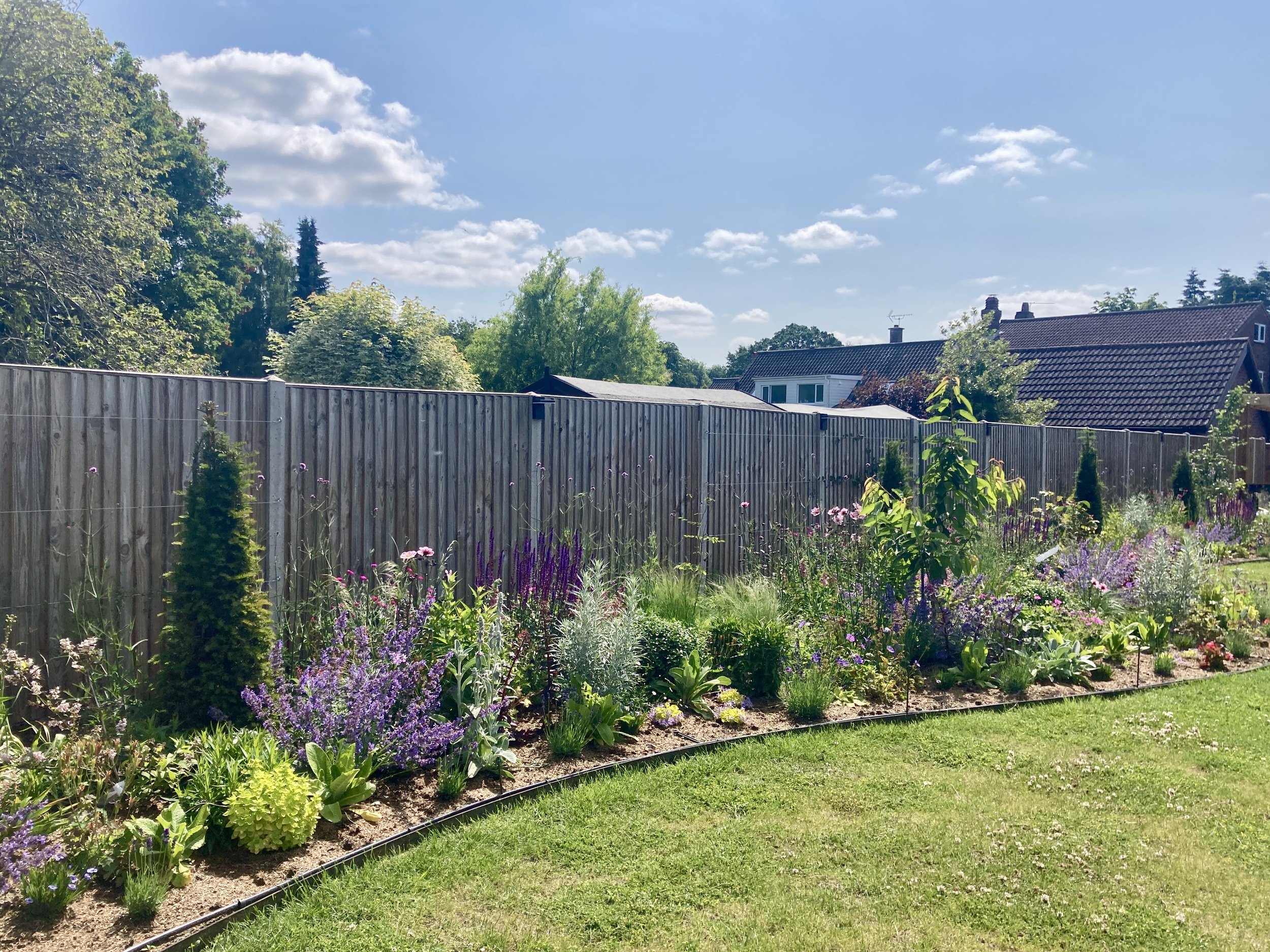 Long Borders in East Norwich