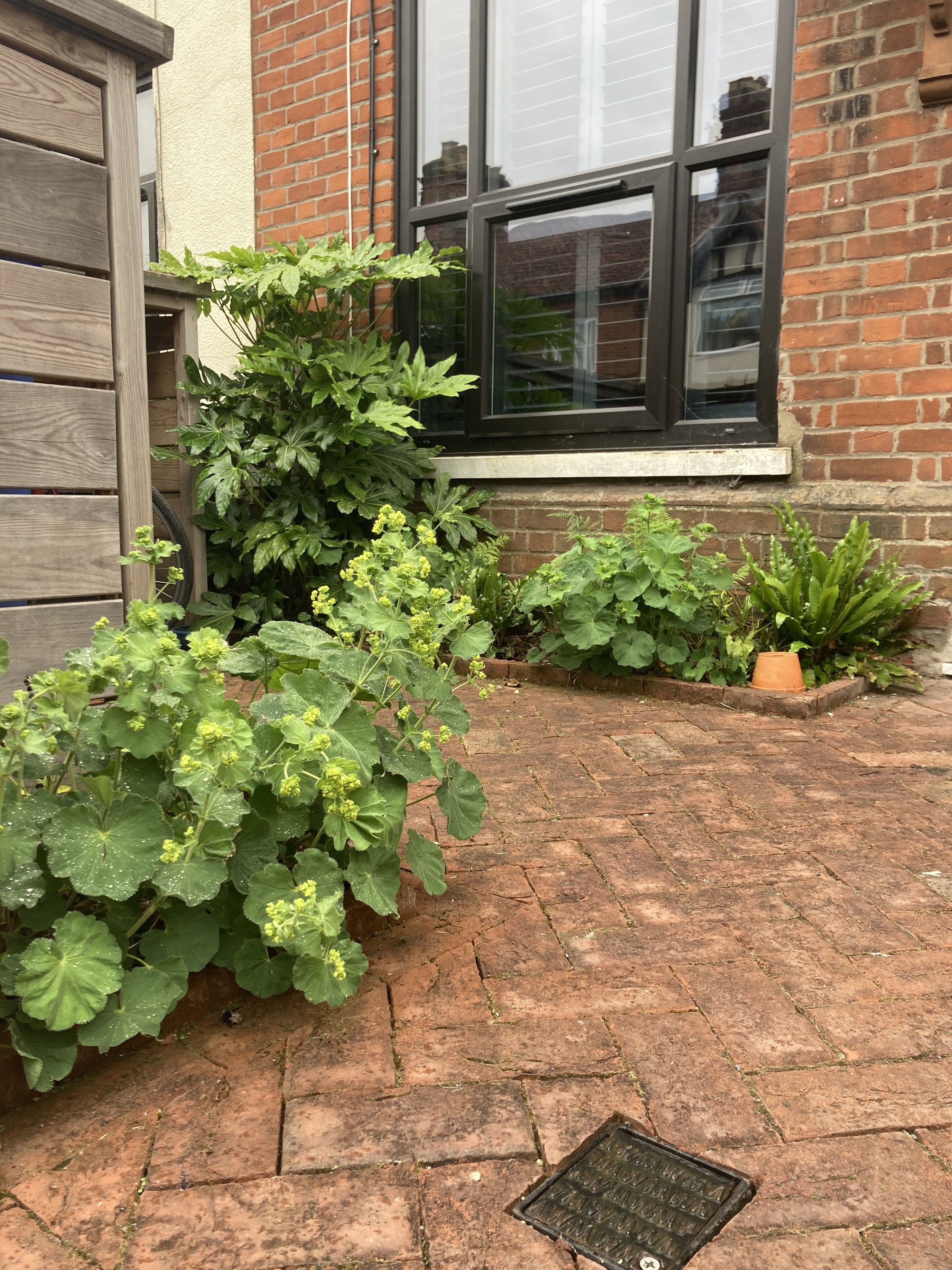 Small Front Garden with Bin Store and Planting in Norwich, Norfolk