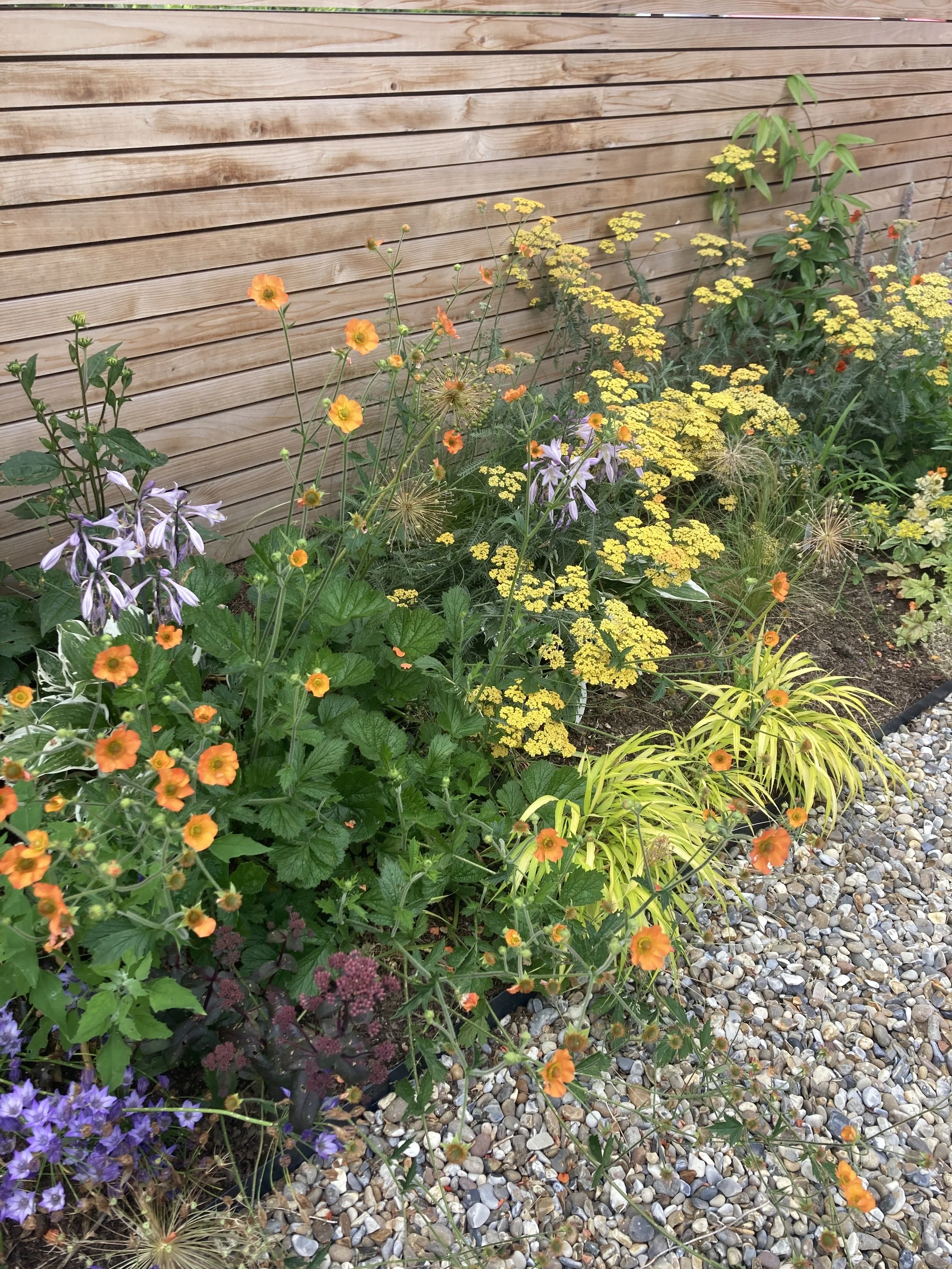 Vibrant Planting in Stoke Holy Cross, Norfolk