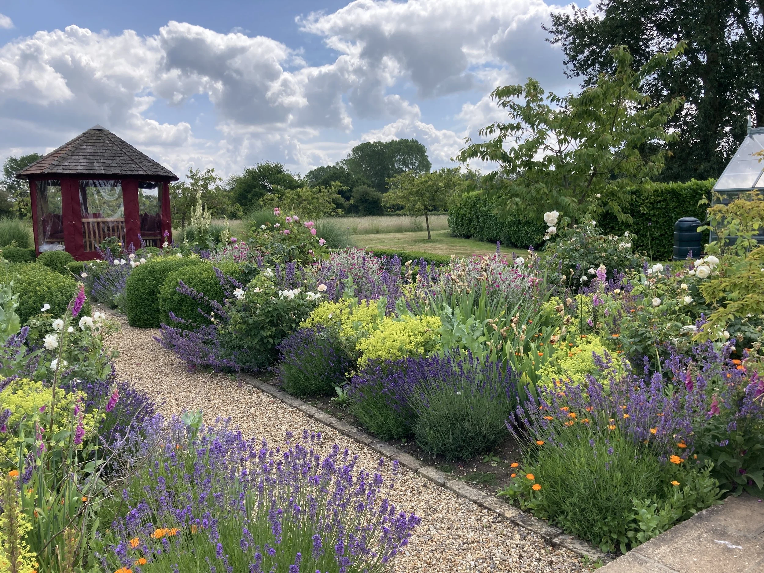 Refreshed Rose Garden Planting in South Norfolk