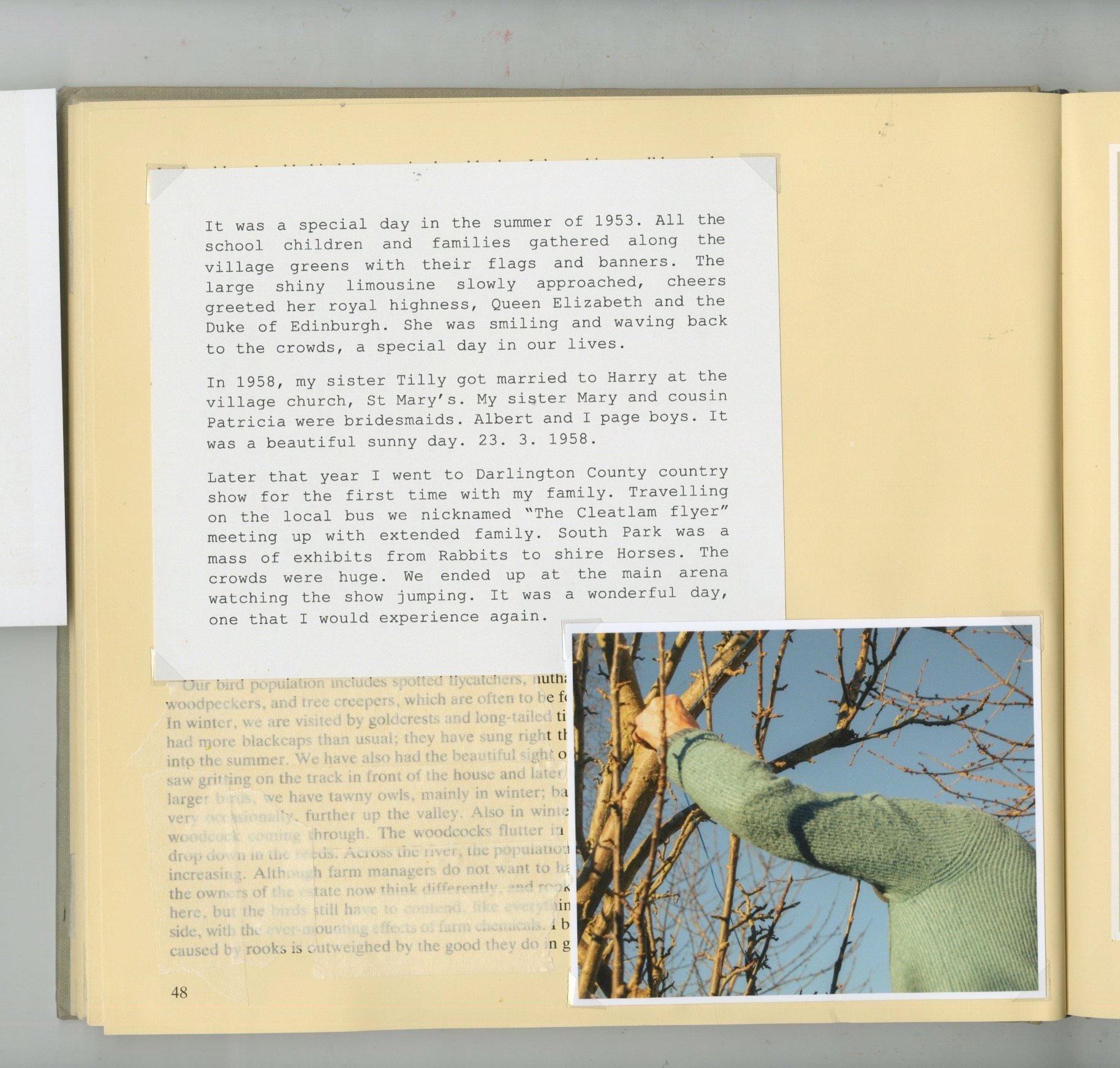 Scan+32.jpg