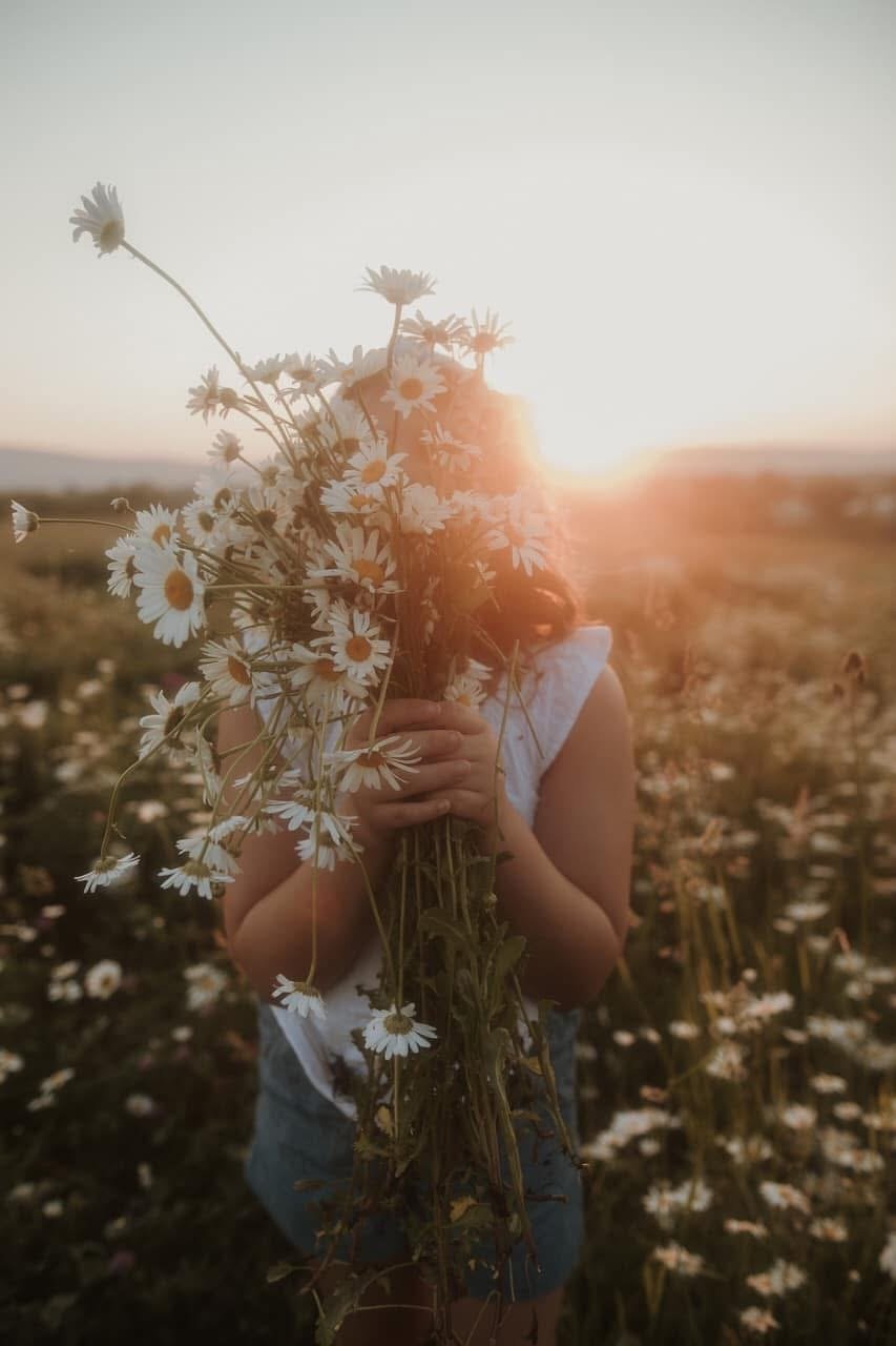 Wildflowers & Portraits Wednesday May 28th