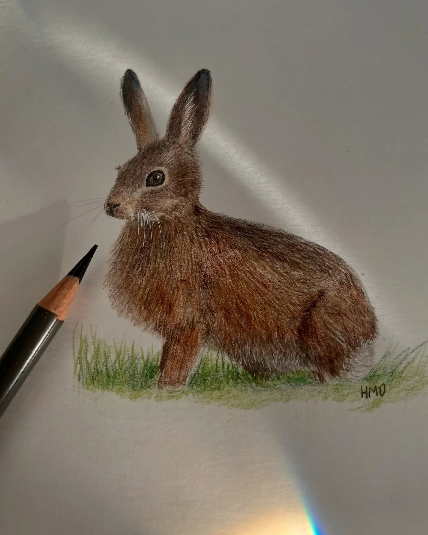 This one didn&rsquo;t allow for much detail as it&rsquo;s tiny, but loving how relaxing it is to use coloured pencils, my new favourite way to unwind and de-stress. 

Photo credit - Pexels