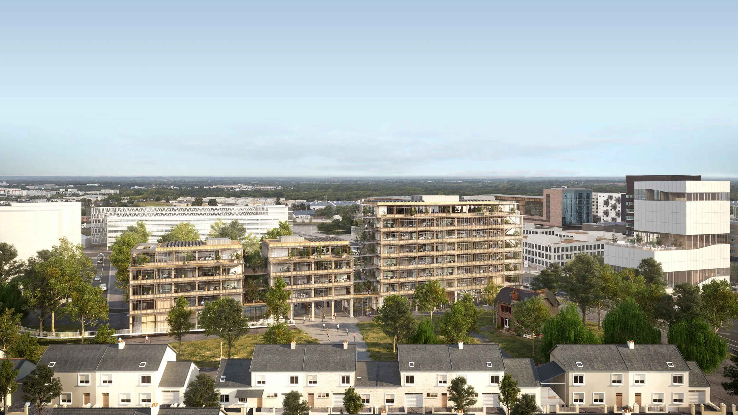 ZAC COURROUZE_PERS LILAS.jpg