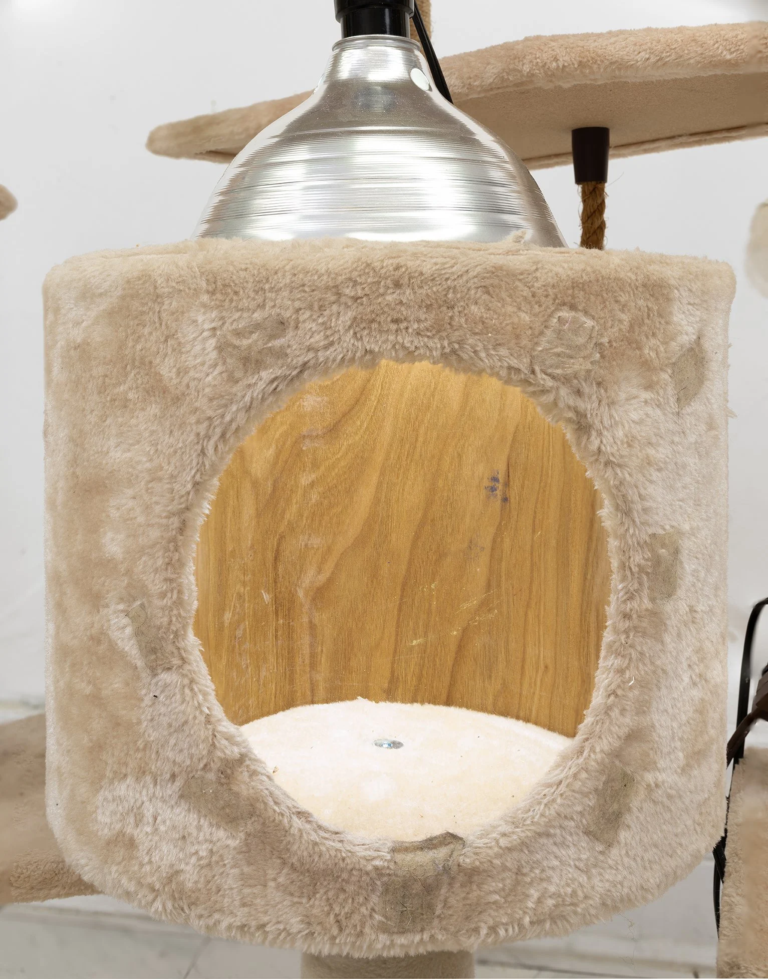 ORTIZ catbox 11 copy 2.jpg