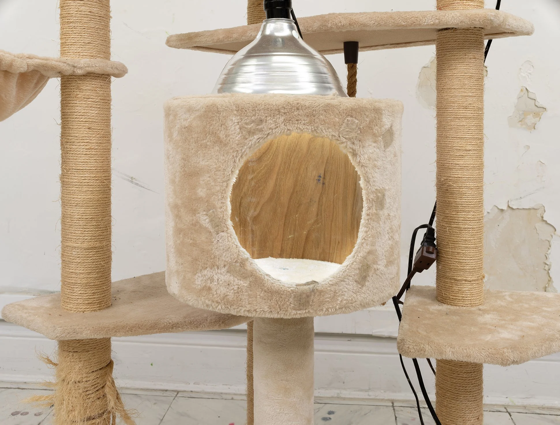 ORTIZ catbox 10 copy 2.jpg