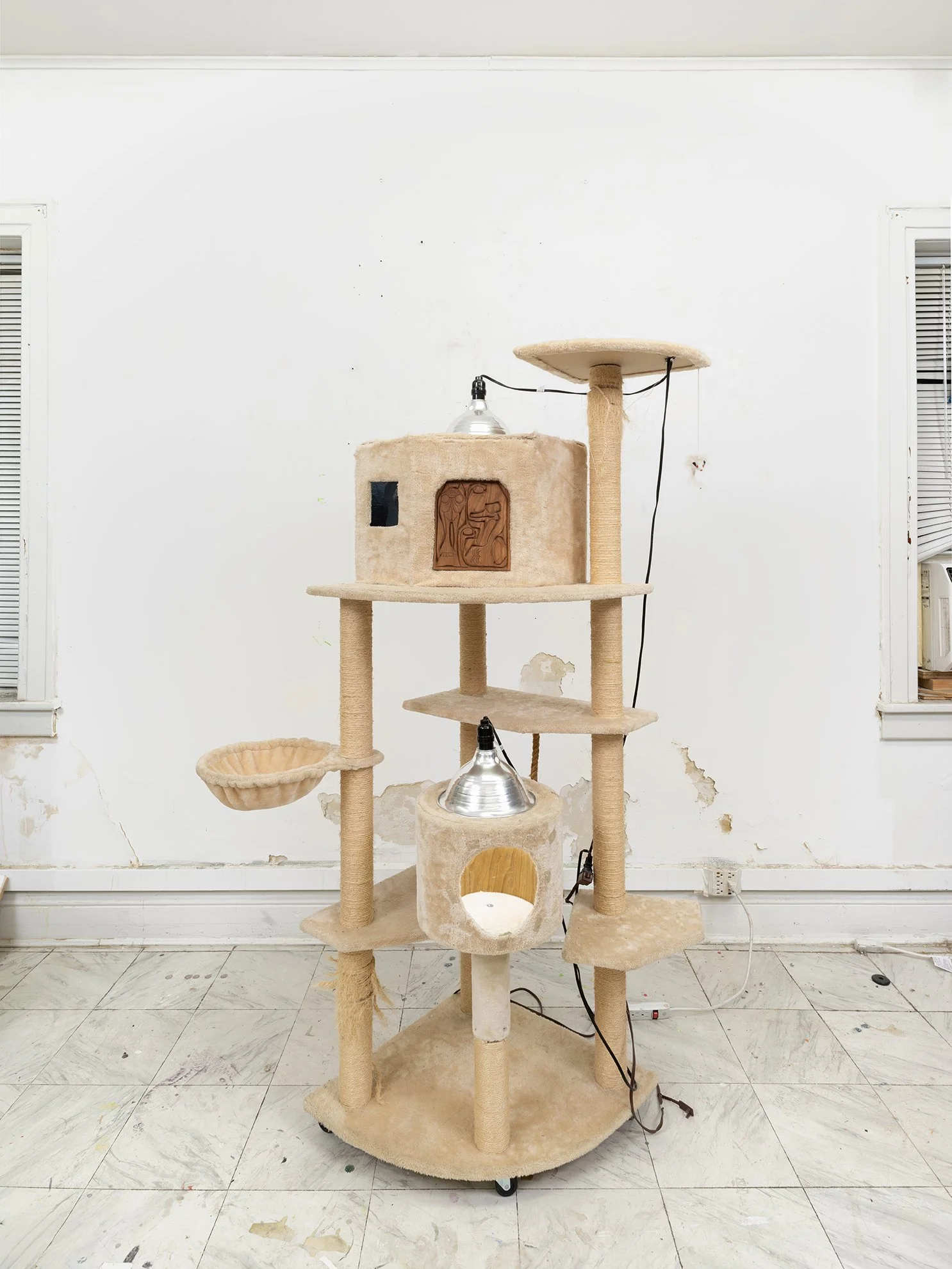 Catbox Ortiz 1 copy 2.jpg