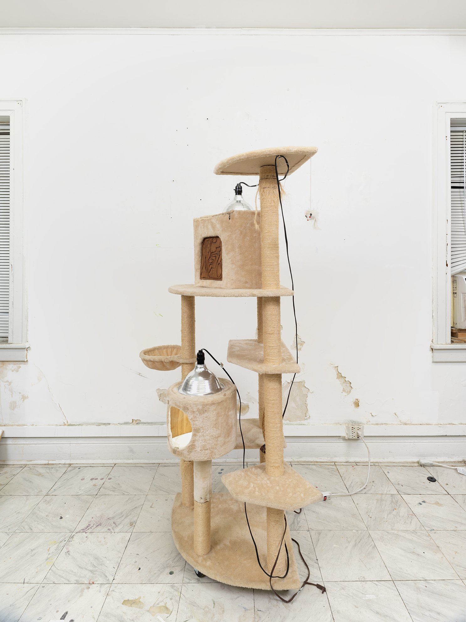 ORTIZ catbox 2 copy 2.jpg